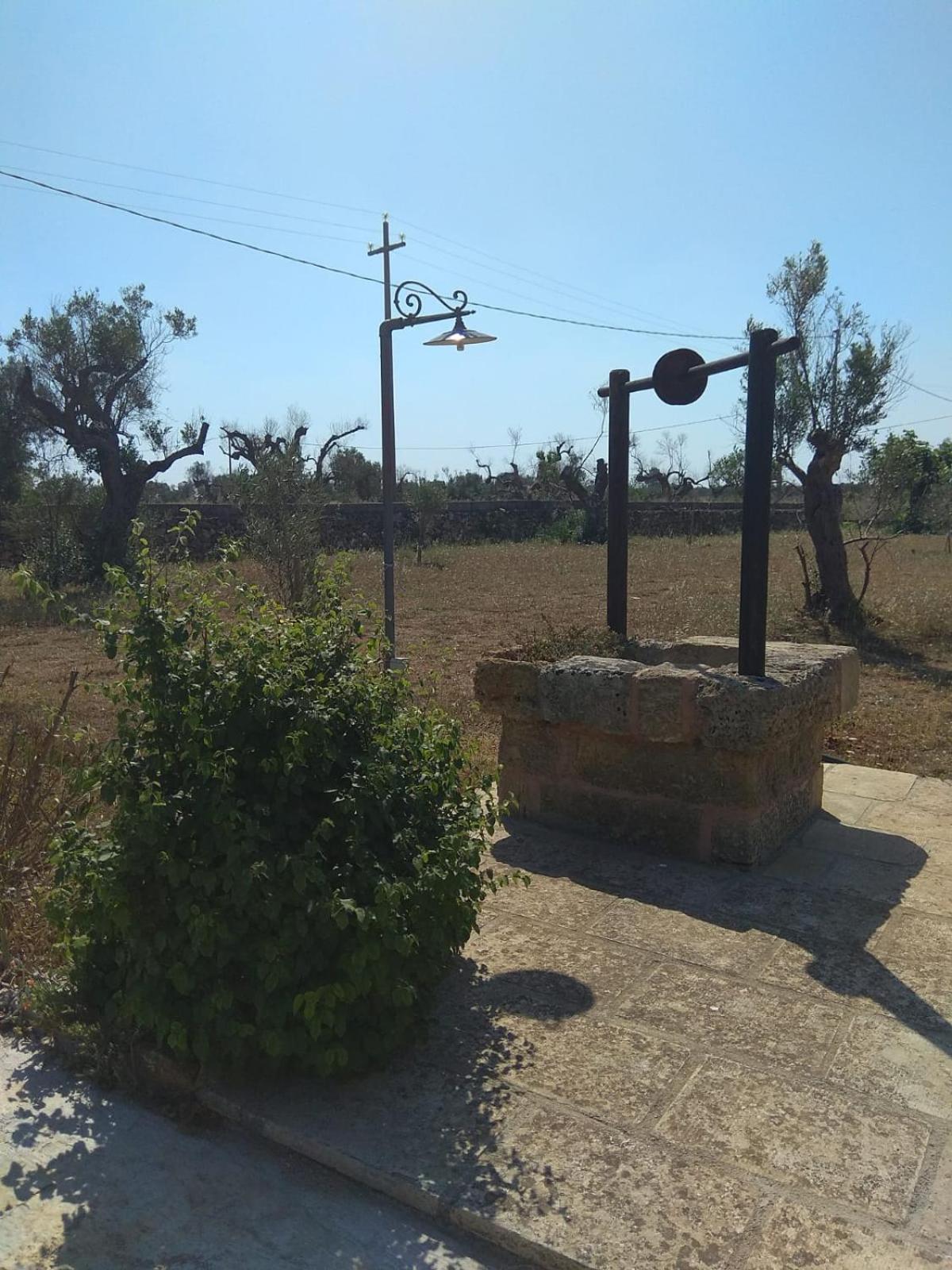 Photo 29