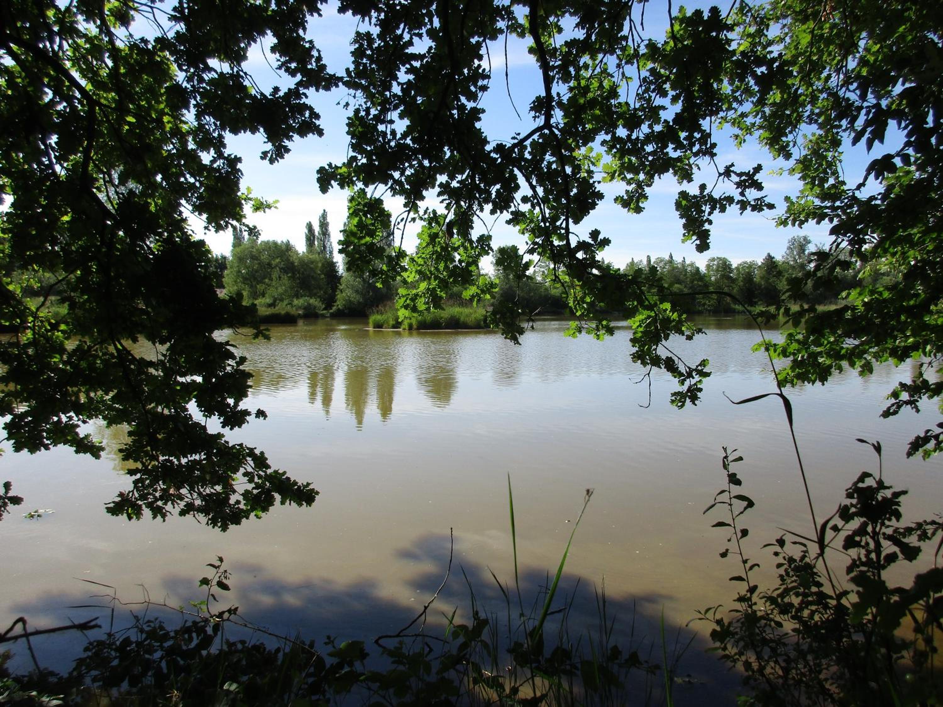 Photo 11