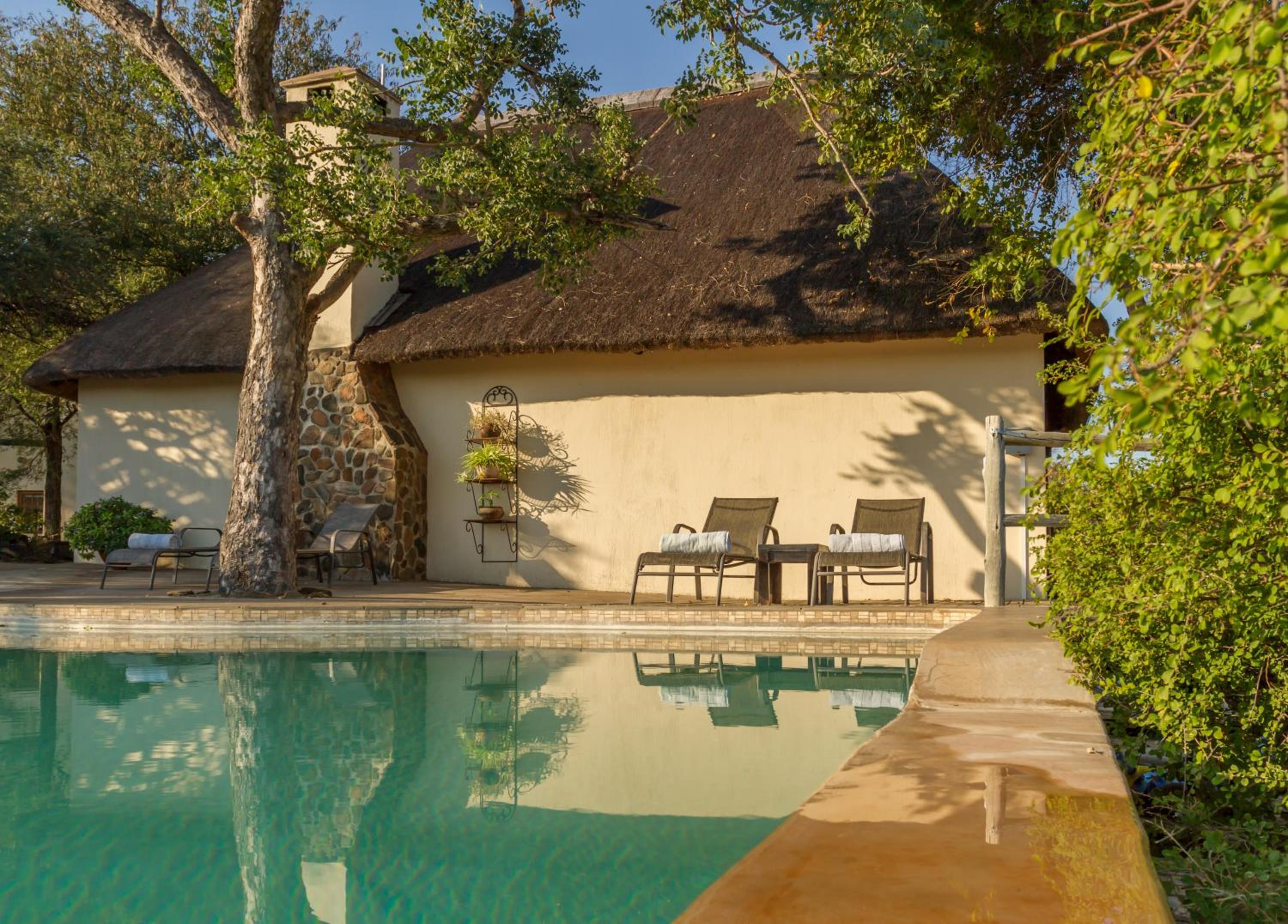 Mbizi Bush Lodge