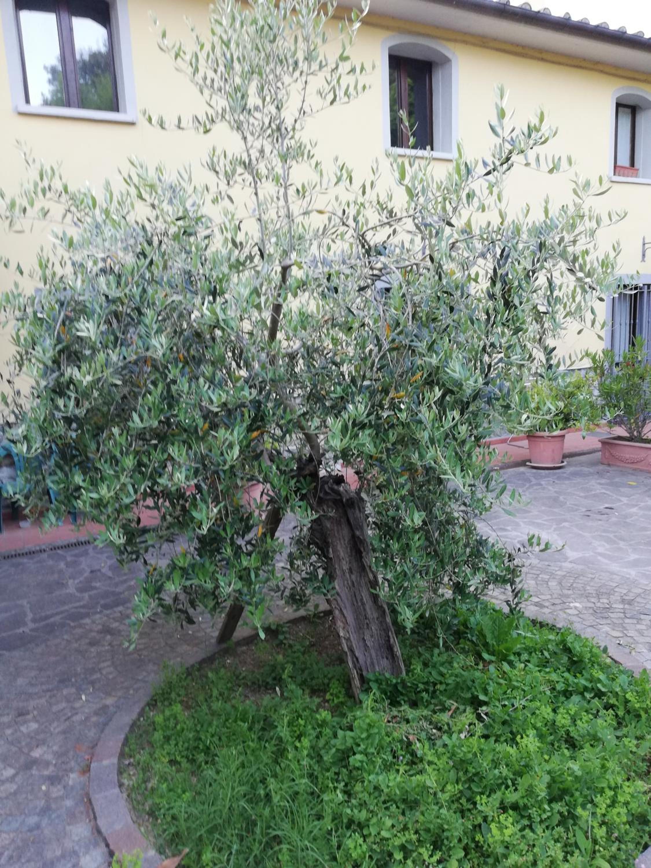 Photo 27
