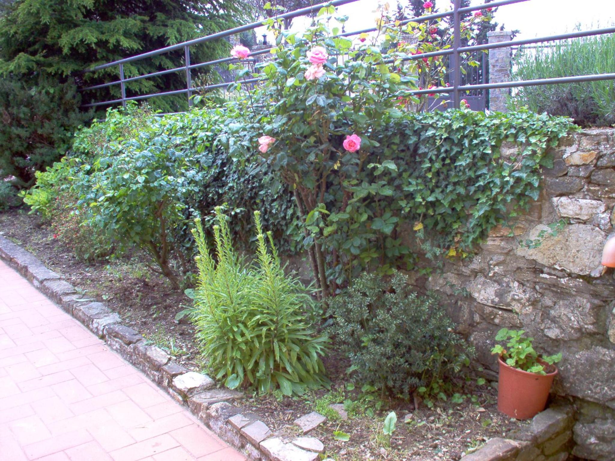 Photo 55