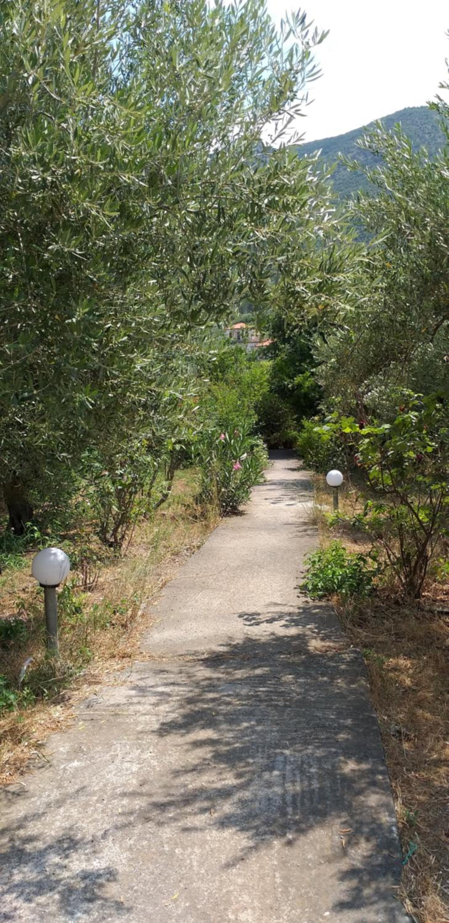 Photo 22