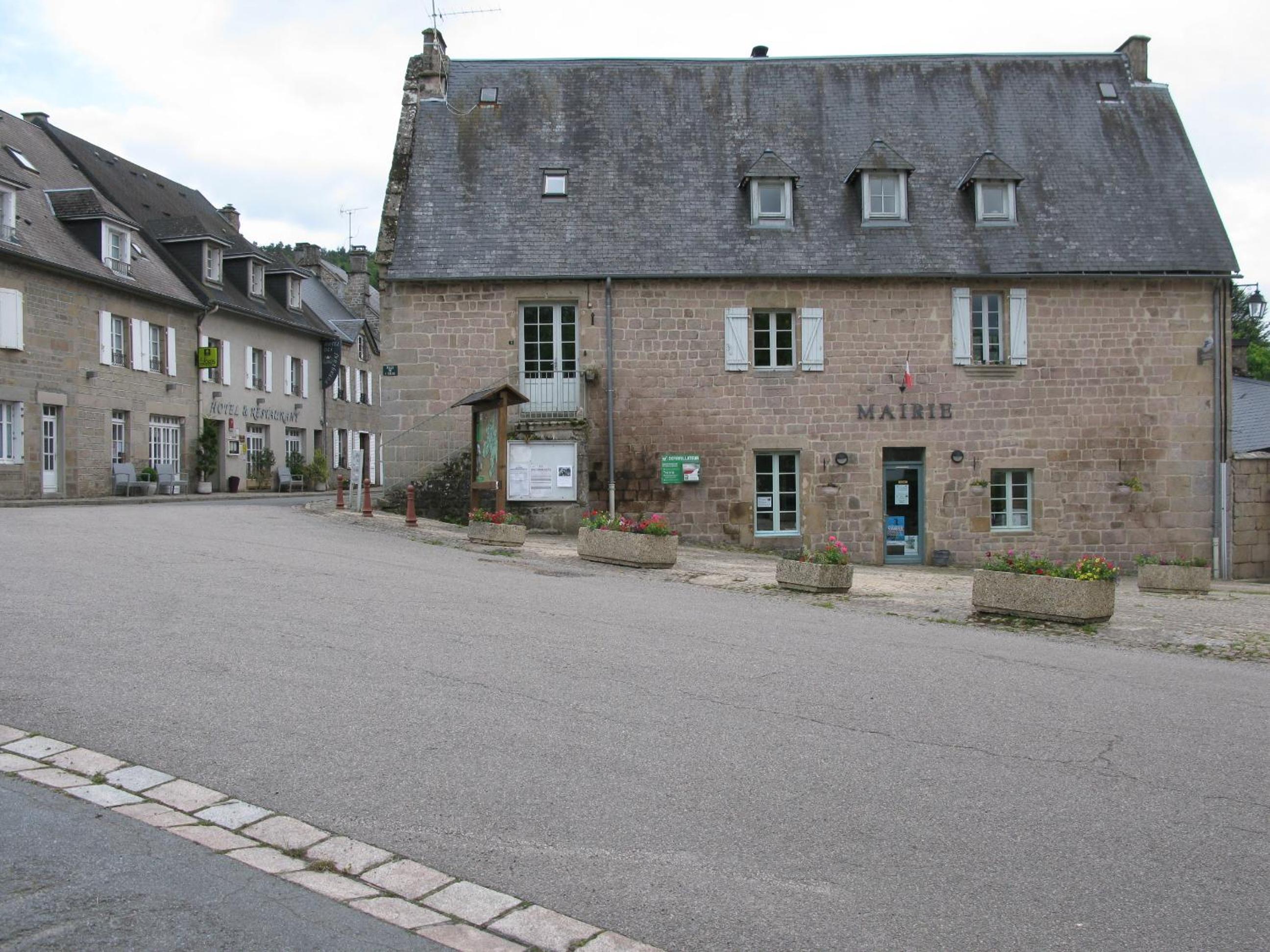 Photo 8