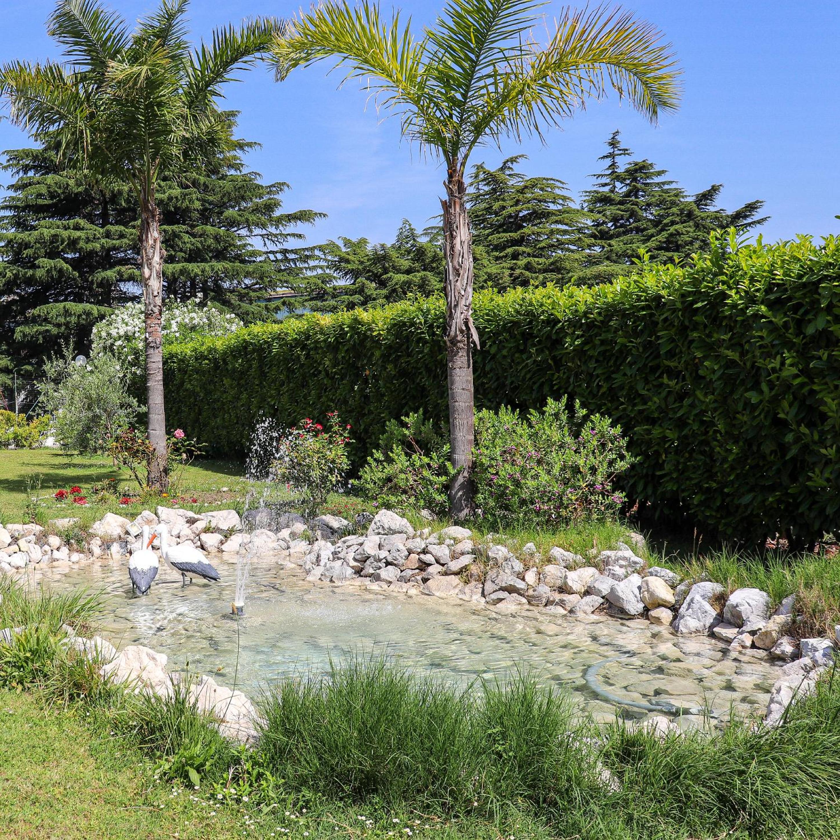 garden