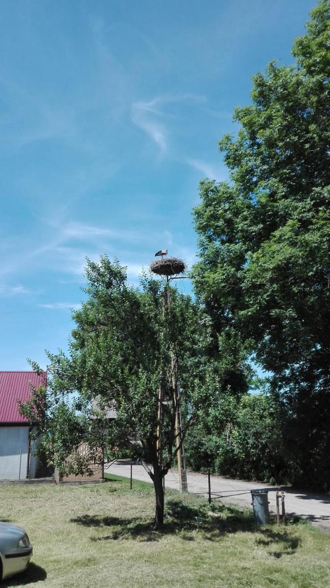 Domek blisko Biebrzy view 4