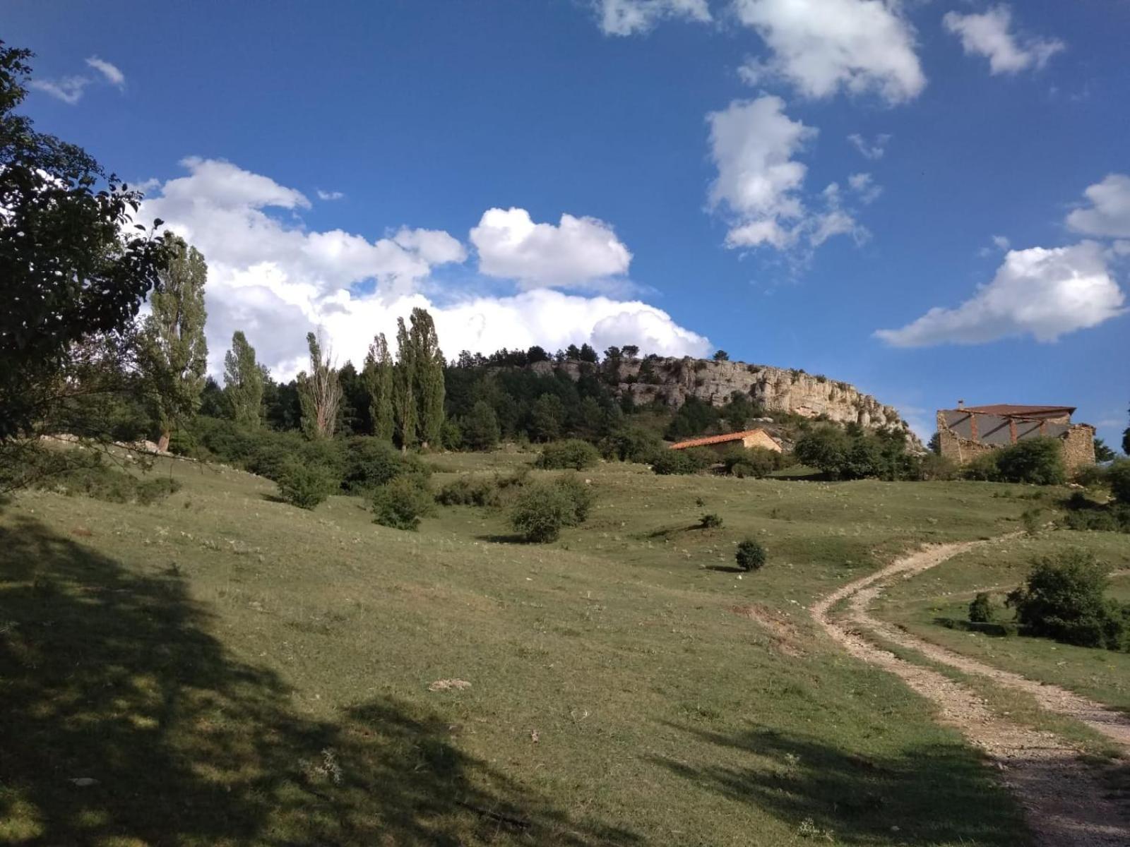 Photo 42