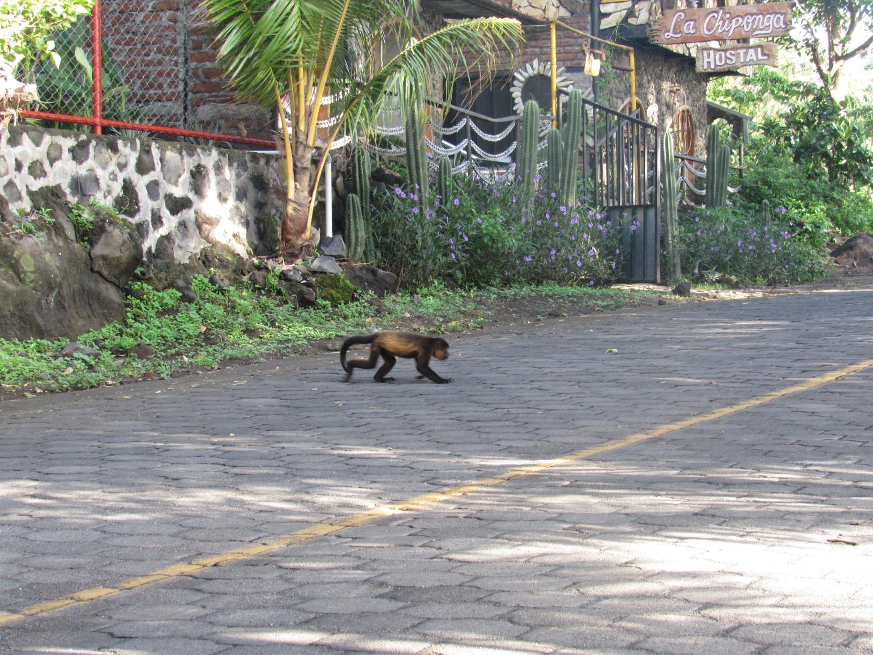 Photo 27