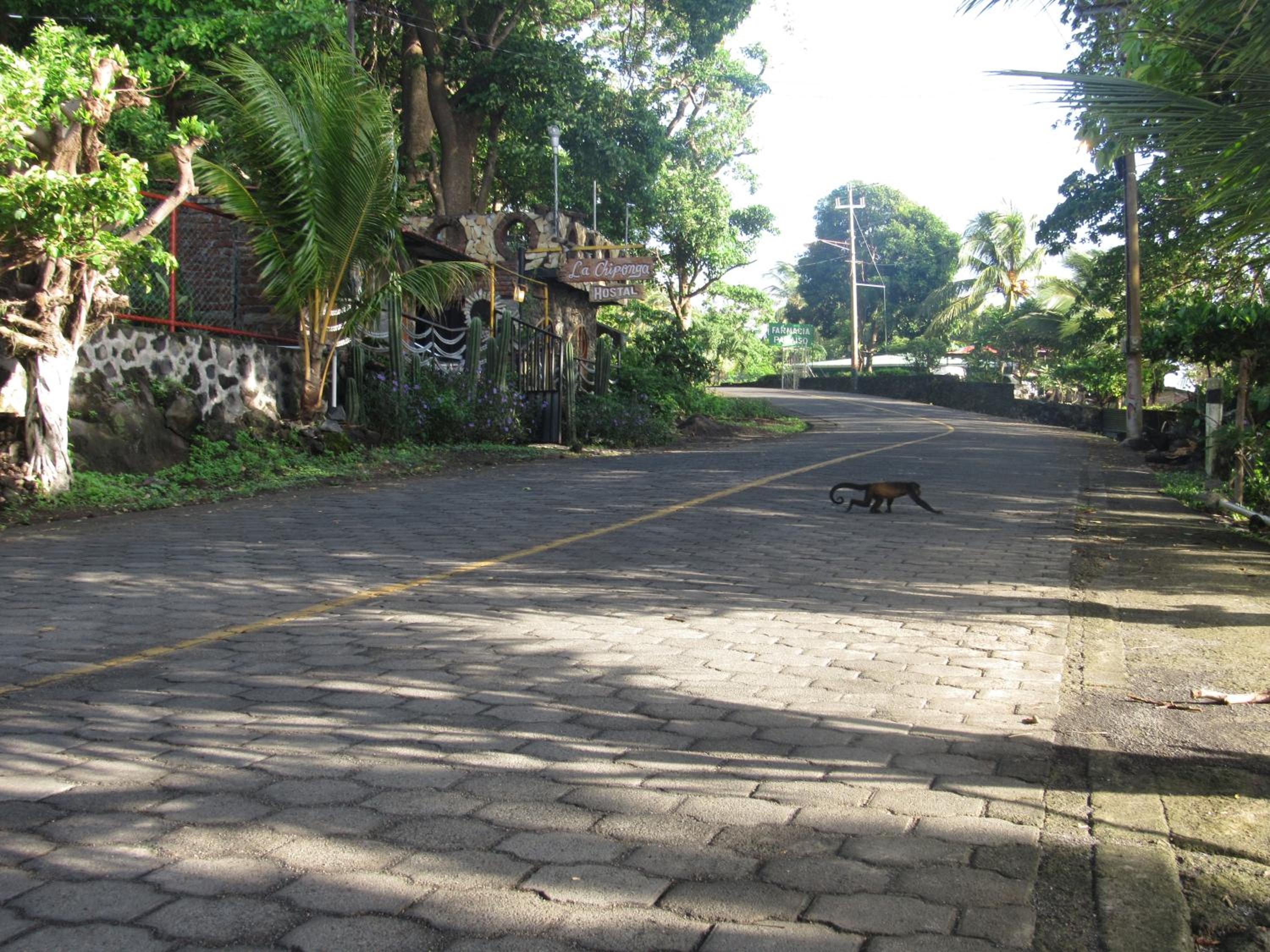 Photo 26