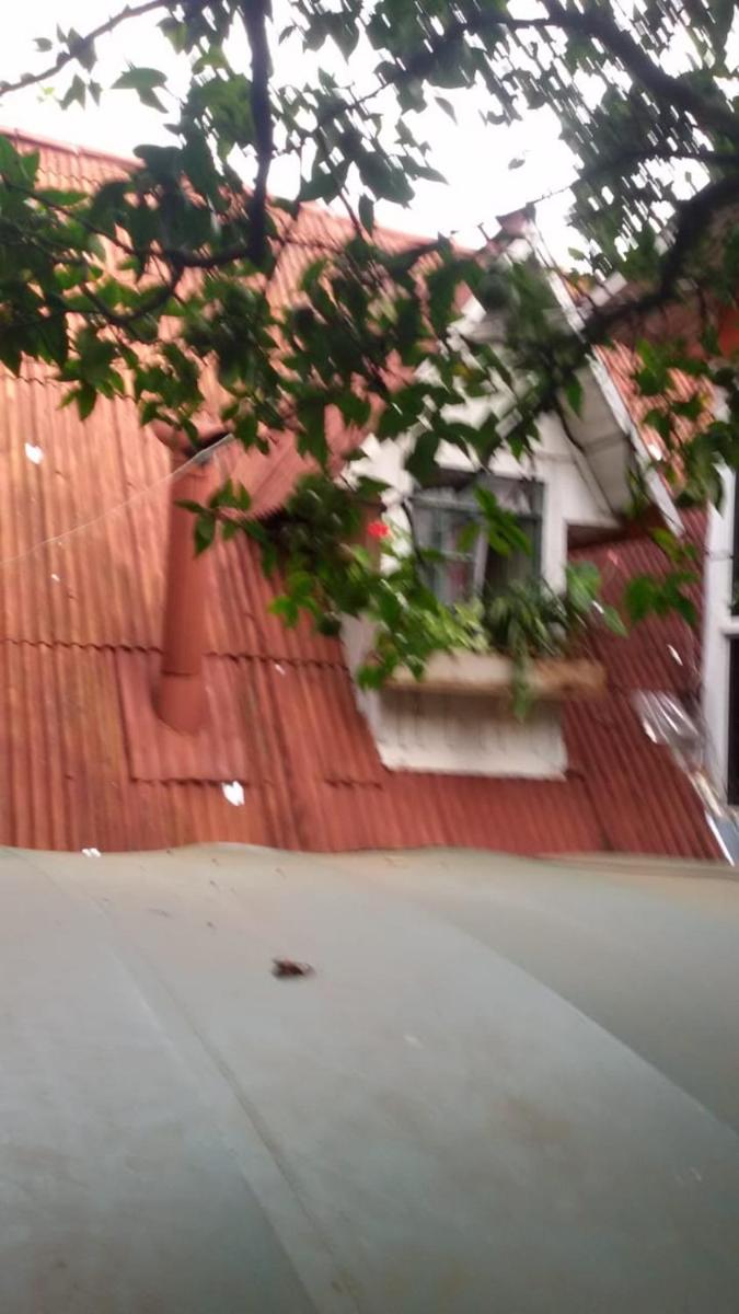 rooftop