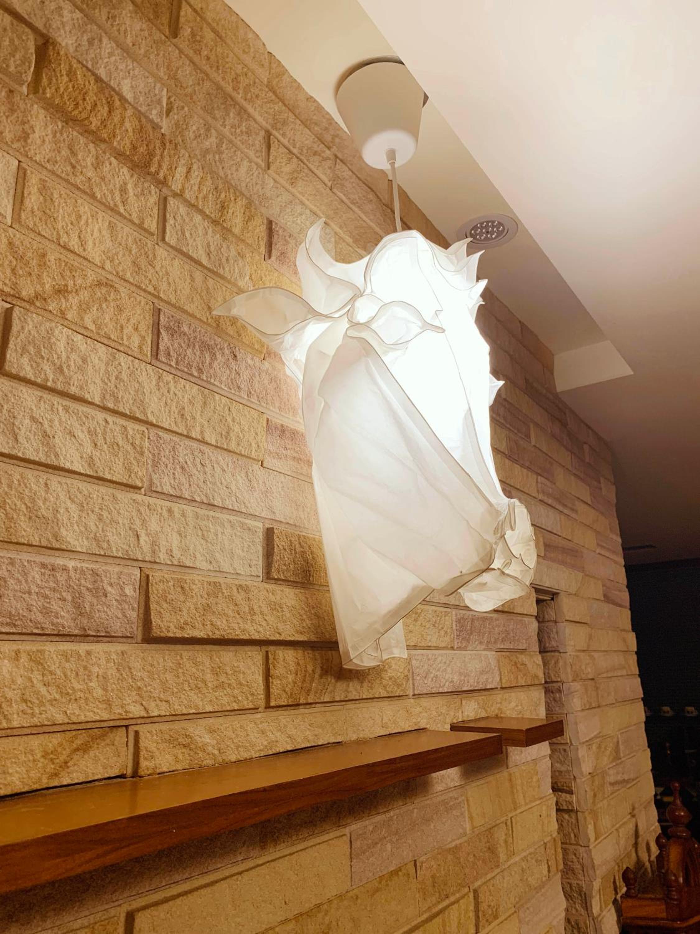Photo 29