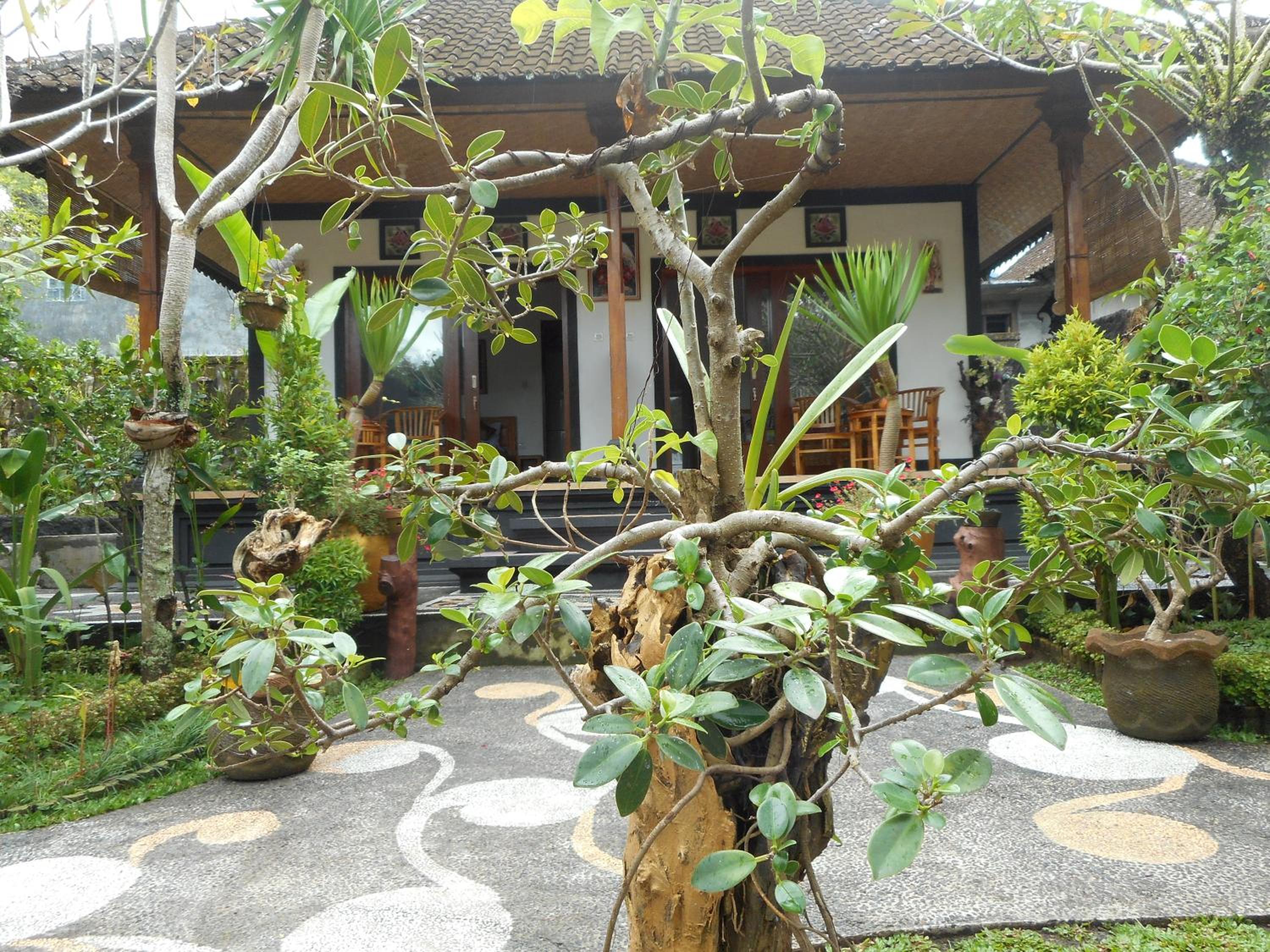 Photo 28