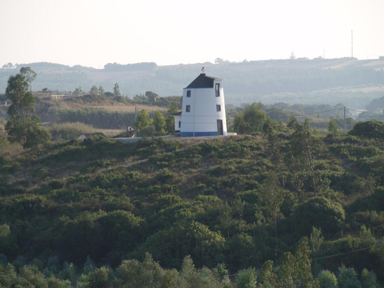 Photo 41