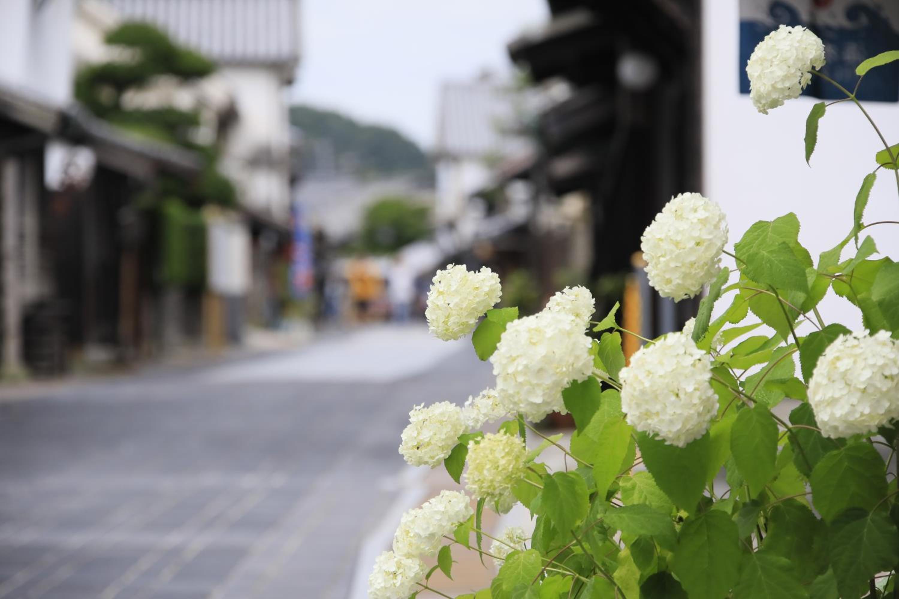 Hotel Kamogawaso
