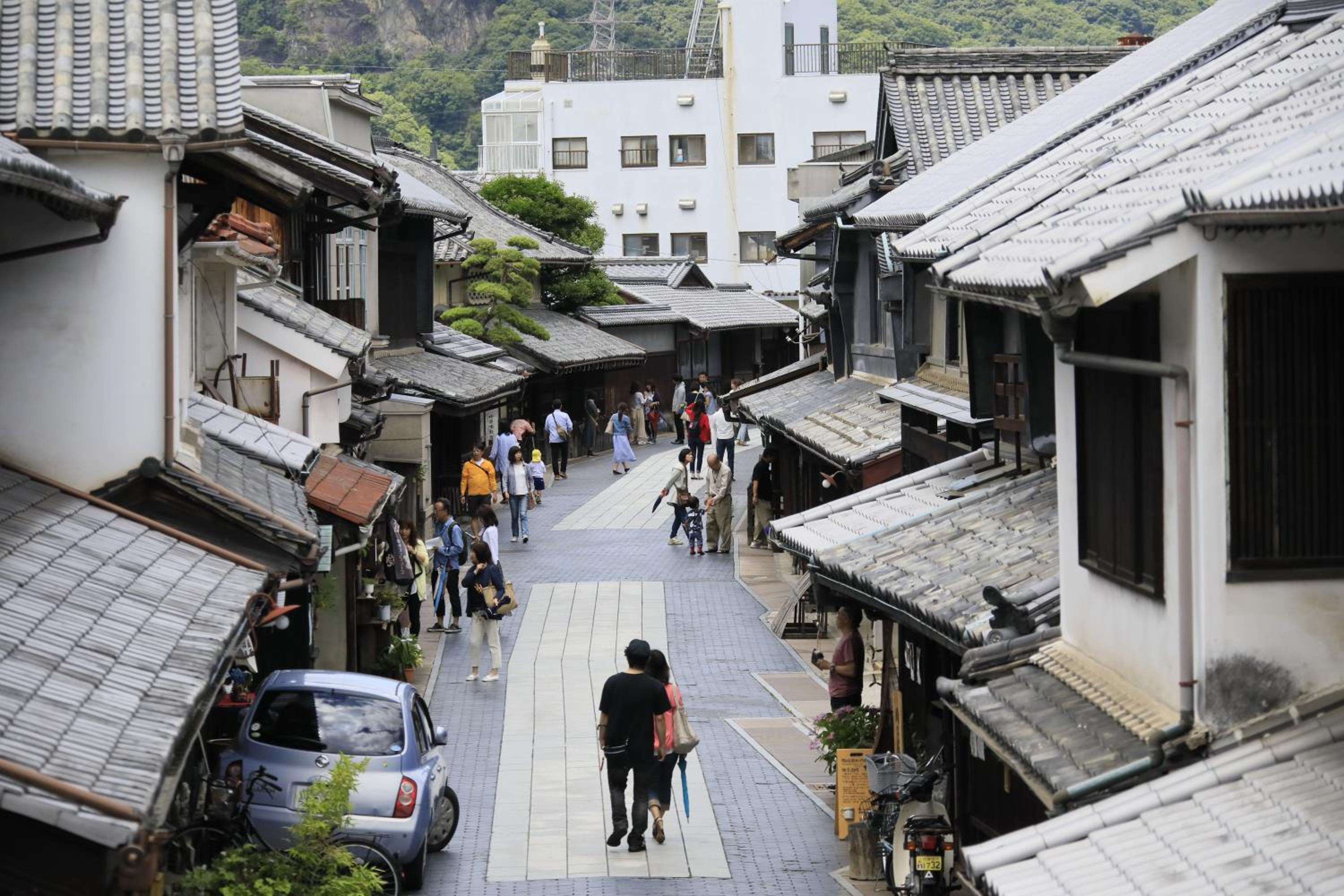 Hotel Kamogawaso