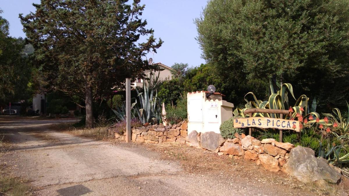 B&B Las Piccas view 2