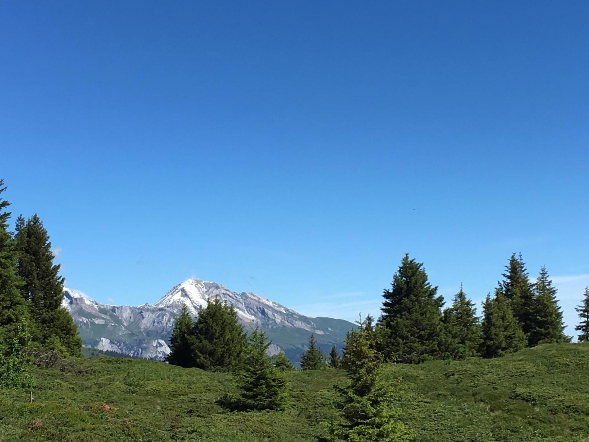 Chalet Casa Cresta - Top of Lenzerheide - bis 9 Personen