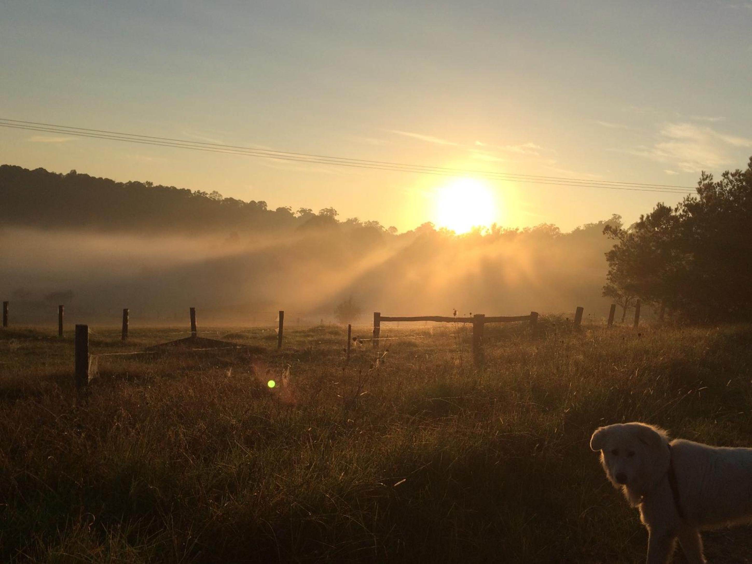 Bryn Glas Farm Stay