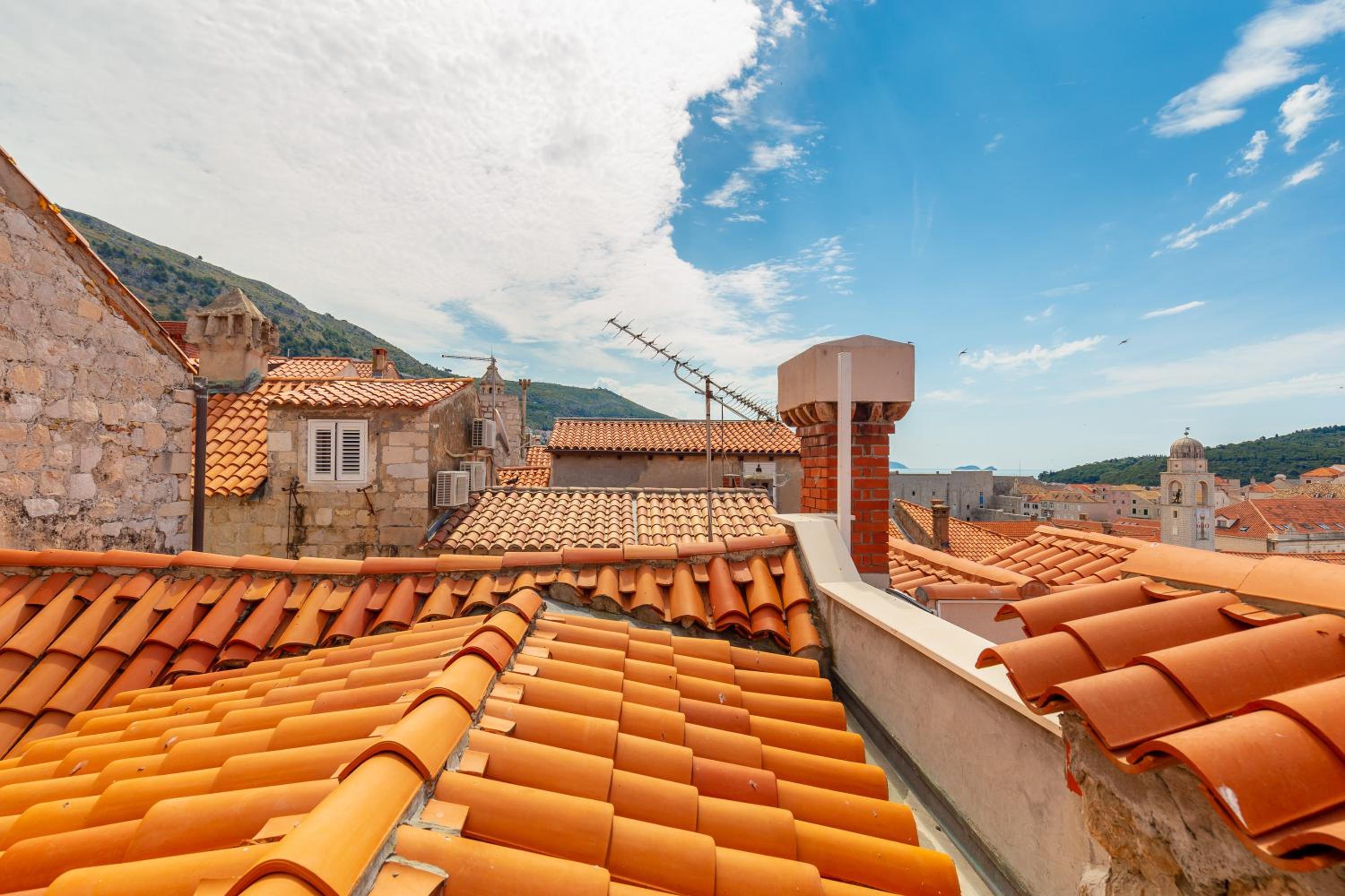 roof