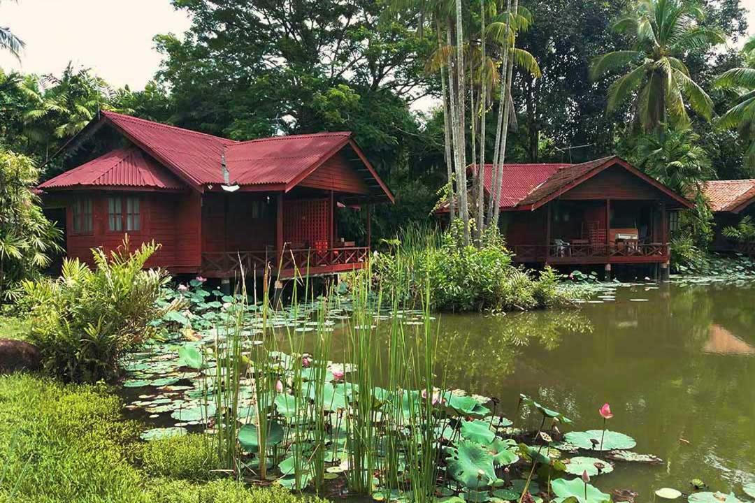 Tanjung Inn