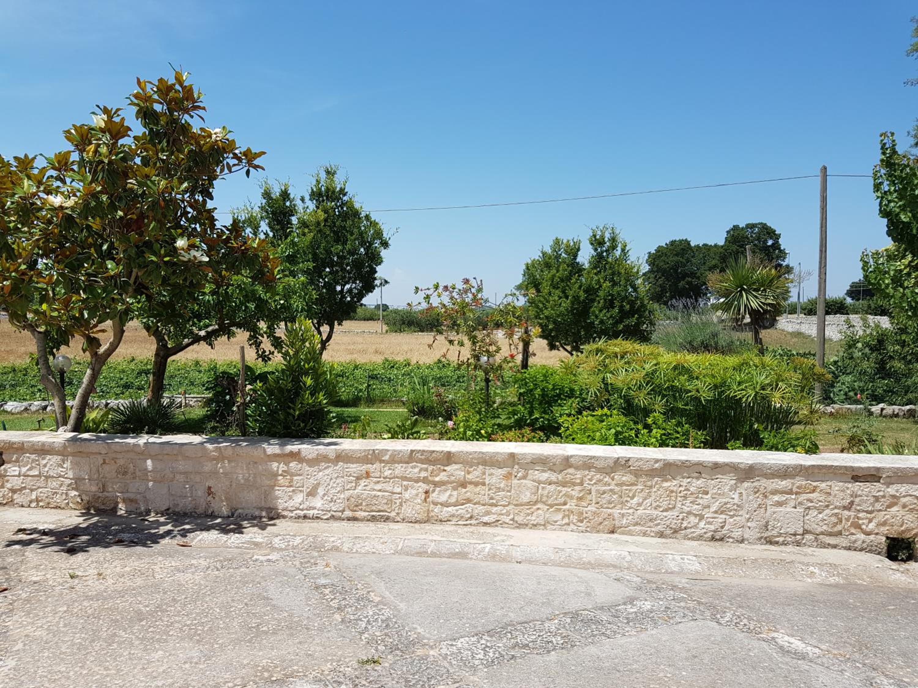 Photo 20