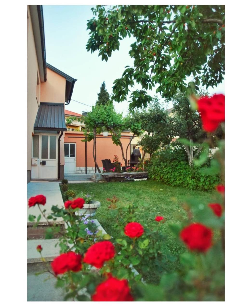 Apartman Baljak view 3