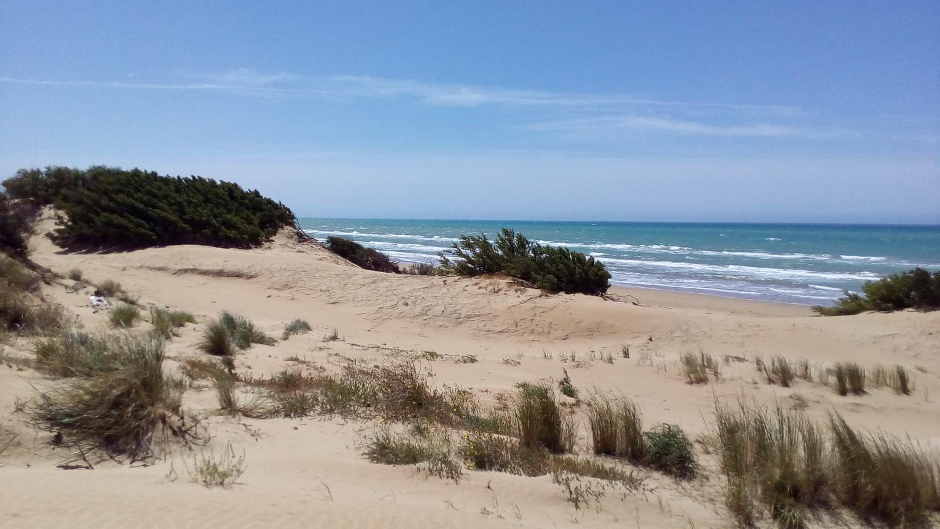 Elianthos B&B view 3