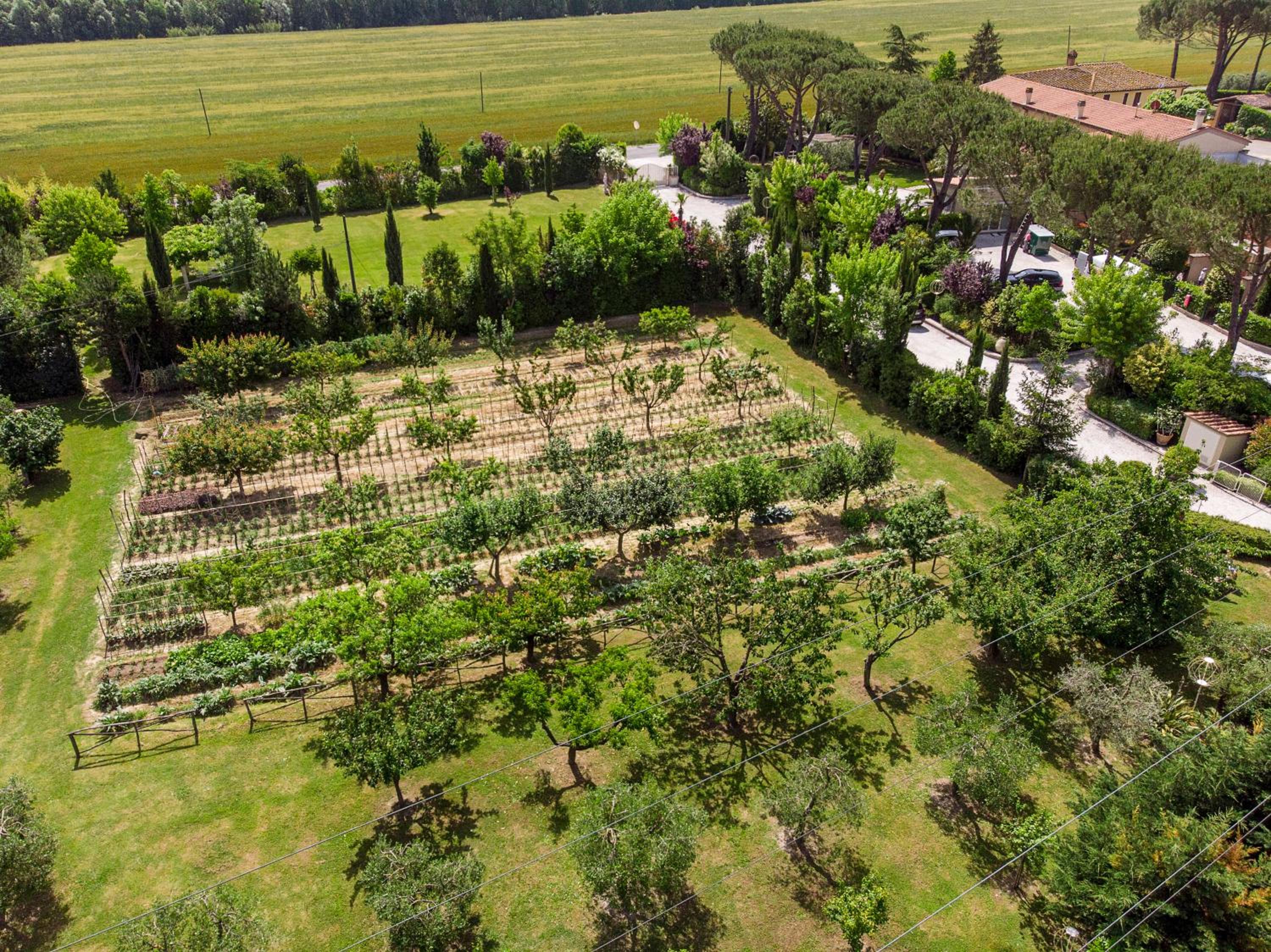 Cevoli Country Resort