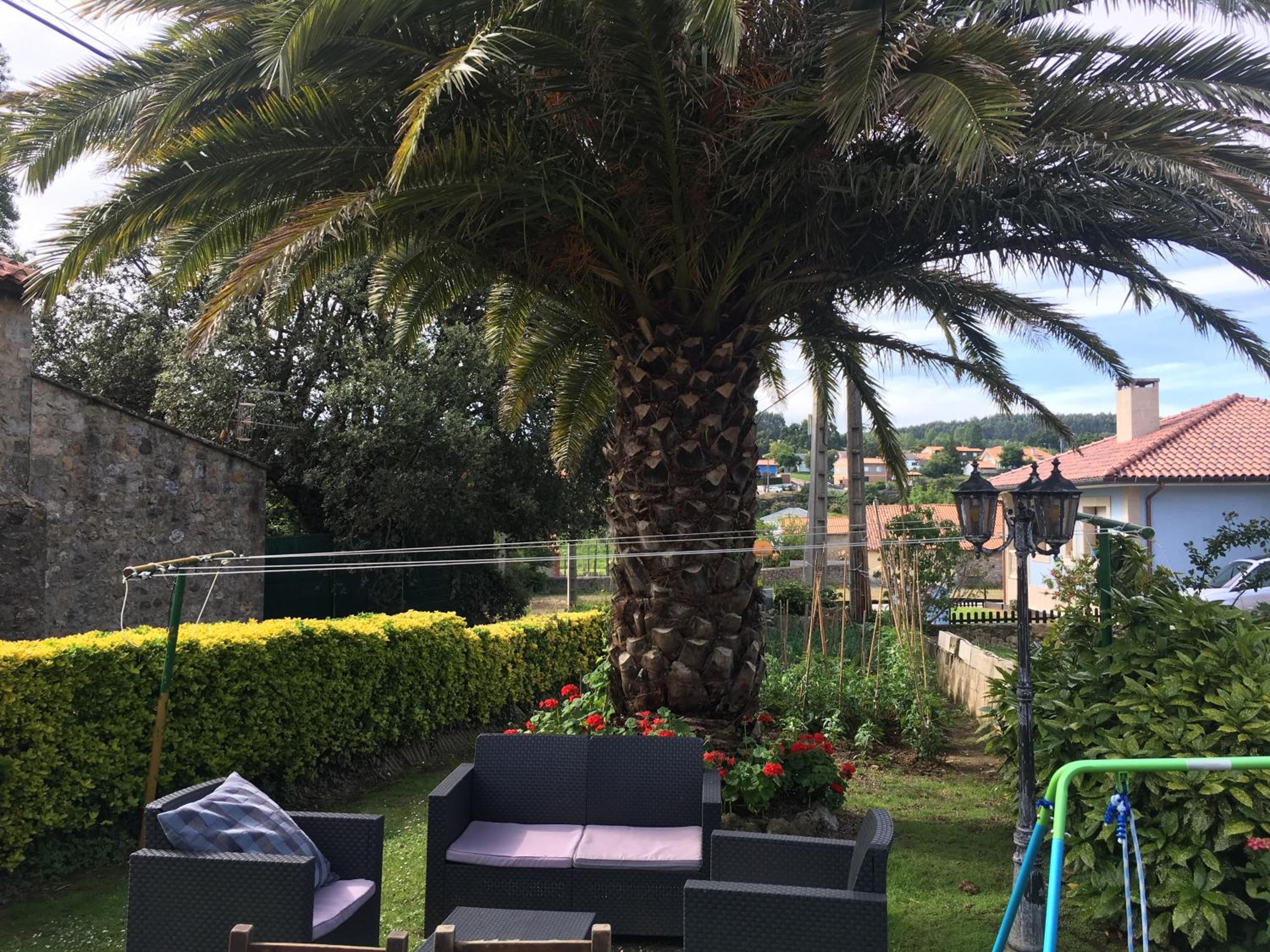Hospedaje Casa Amalia