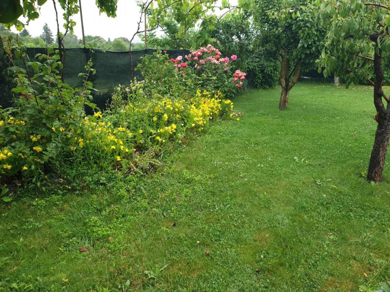 Holiday House Kubrat