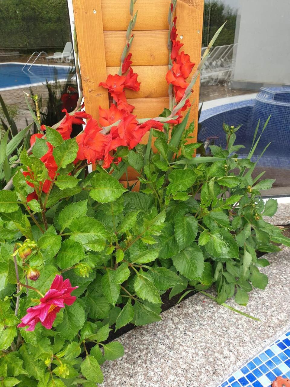 Holiday House Kubrat