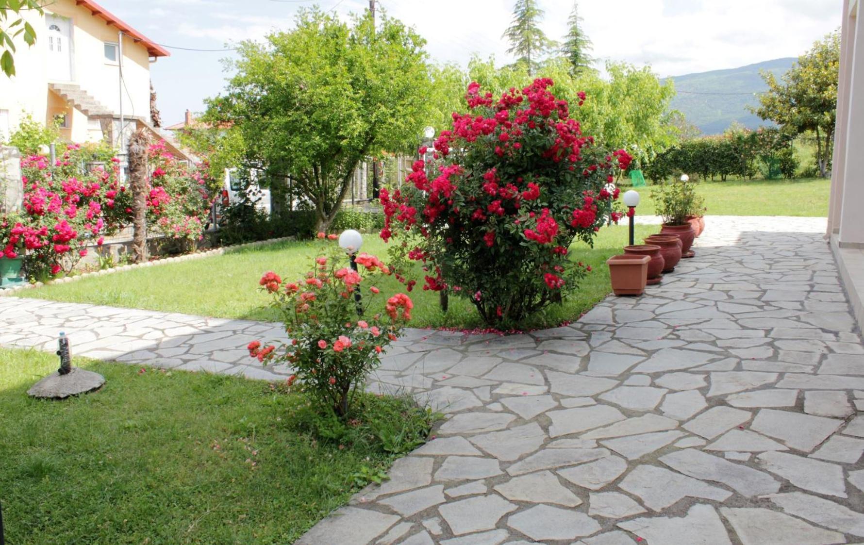 Photo 23