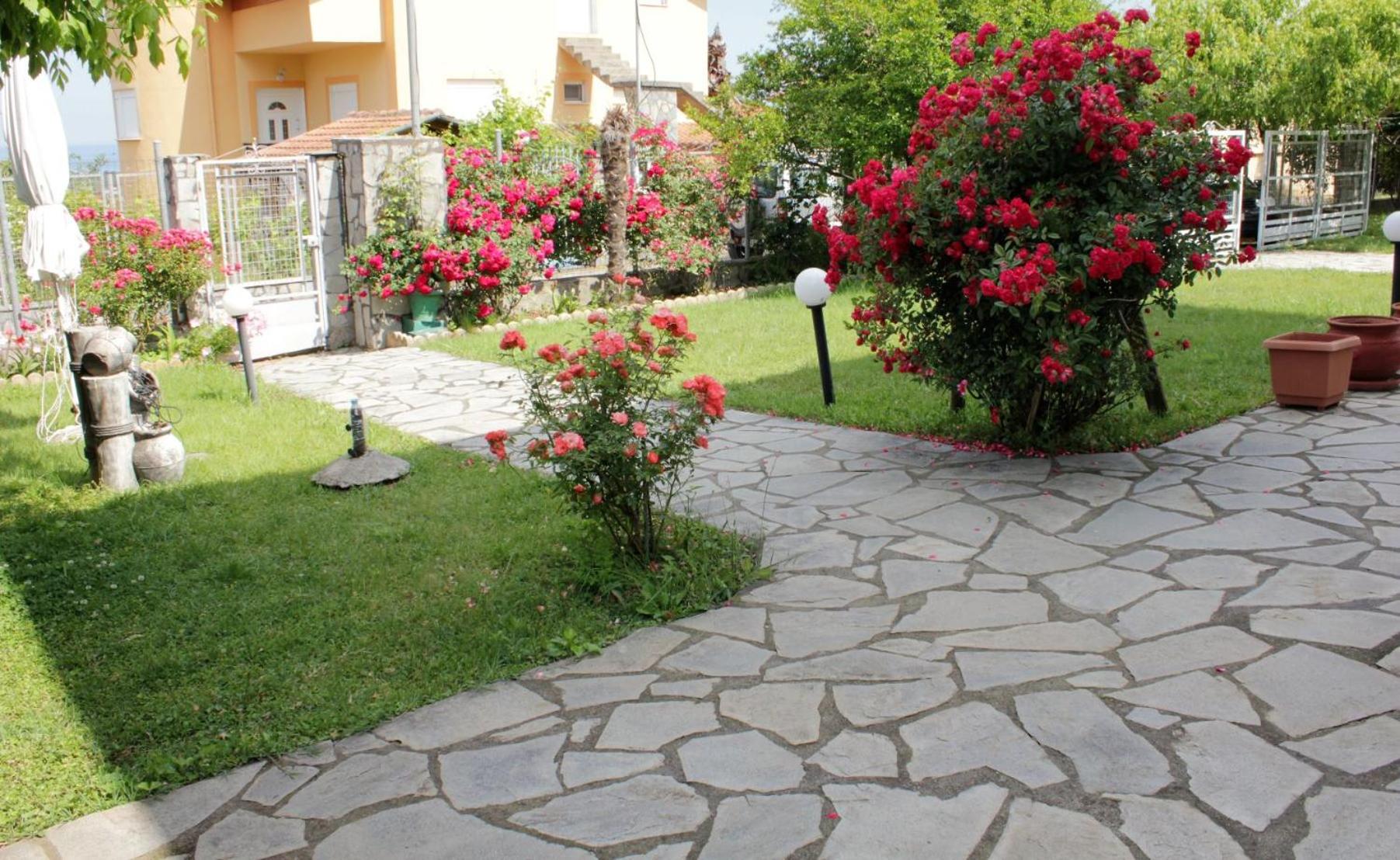 Photo 27