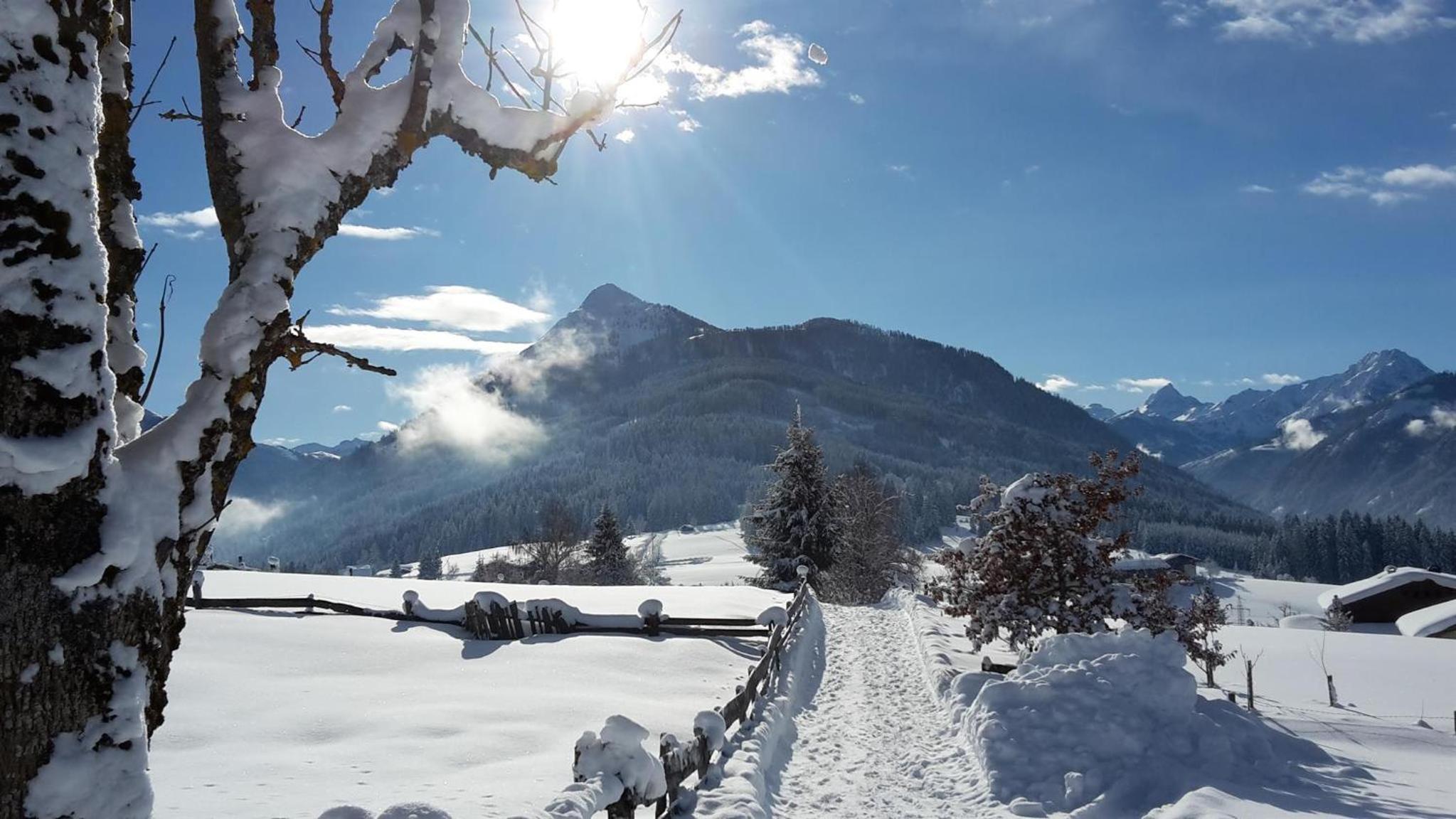 Nagellehen view 5