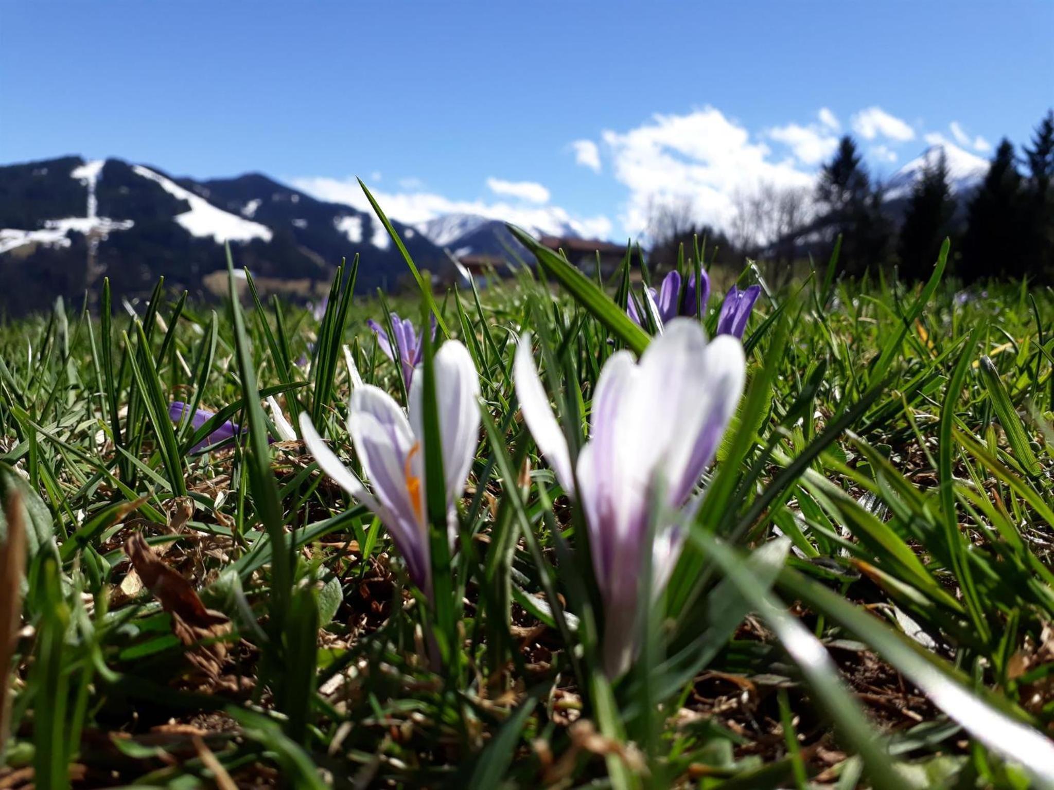 Nagellehen view 4