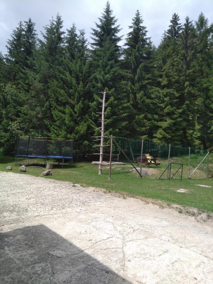 Penzion Borovice
