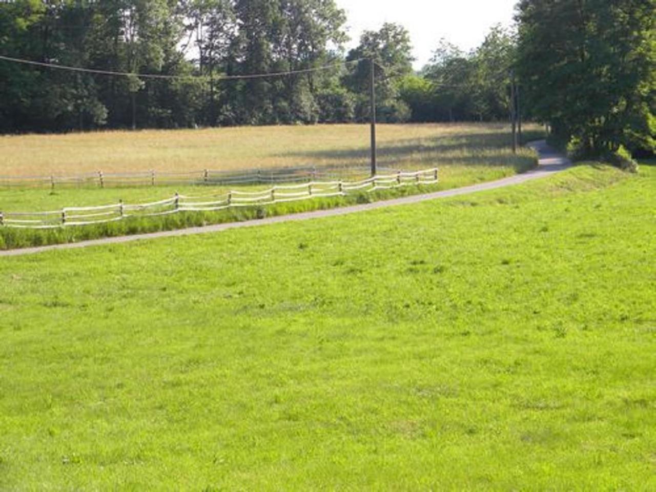Photo 45