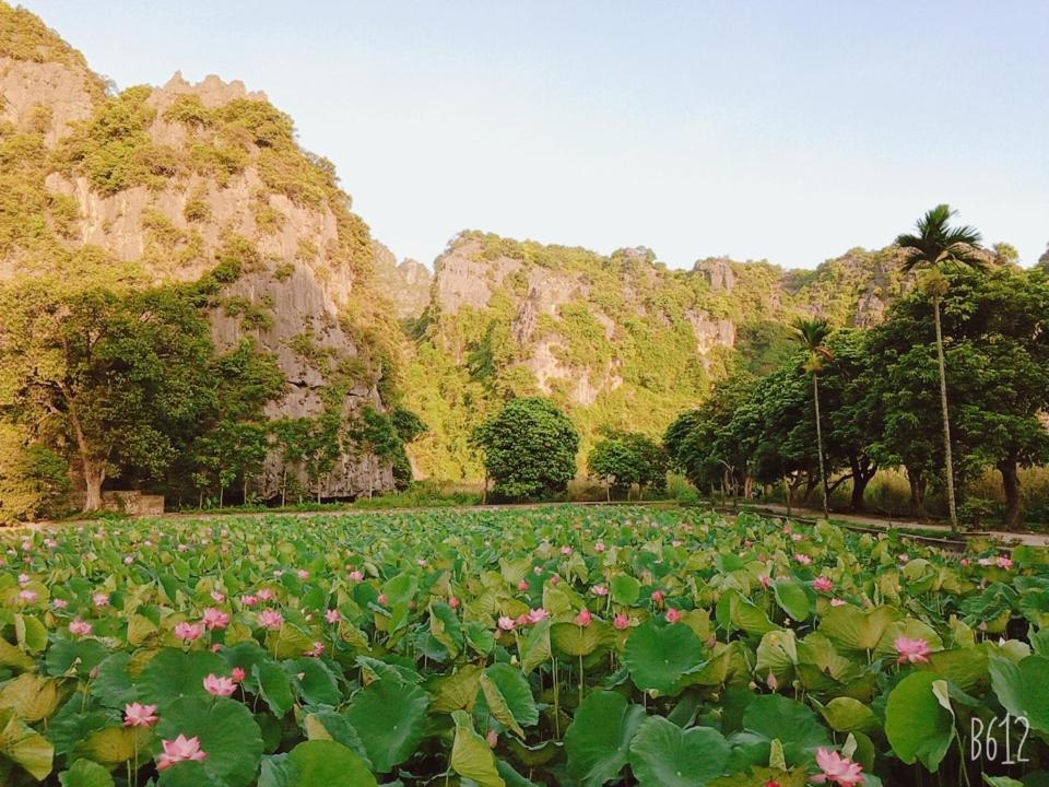 Tam Coc Happy Home view 3