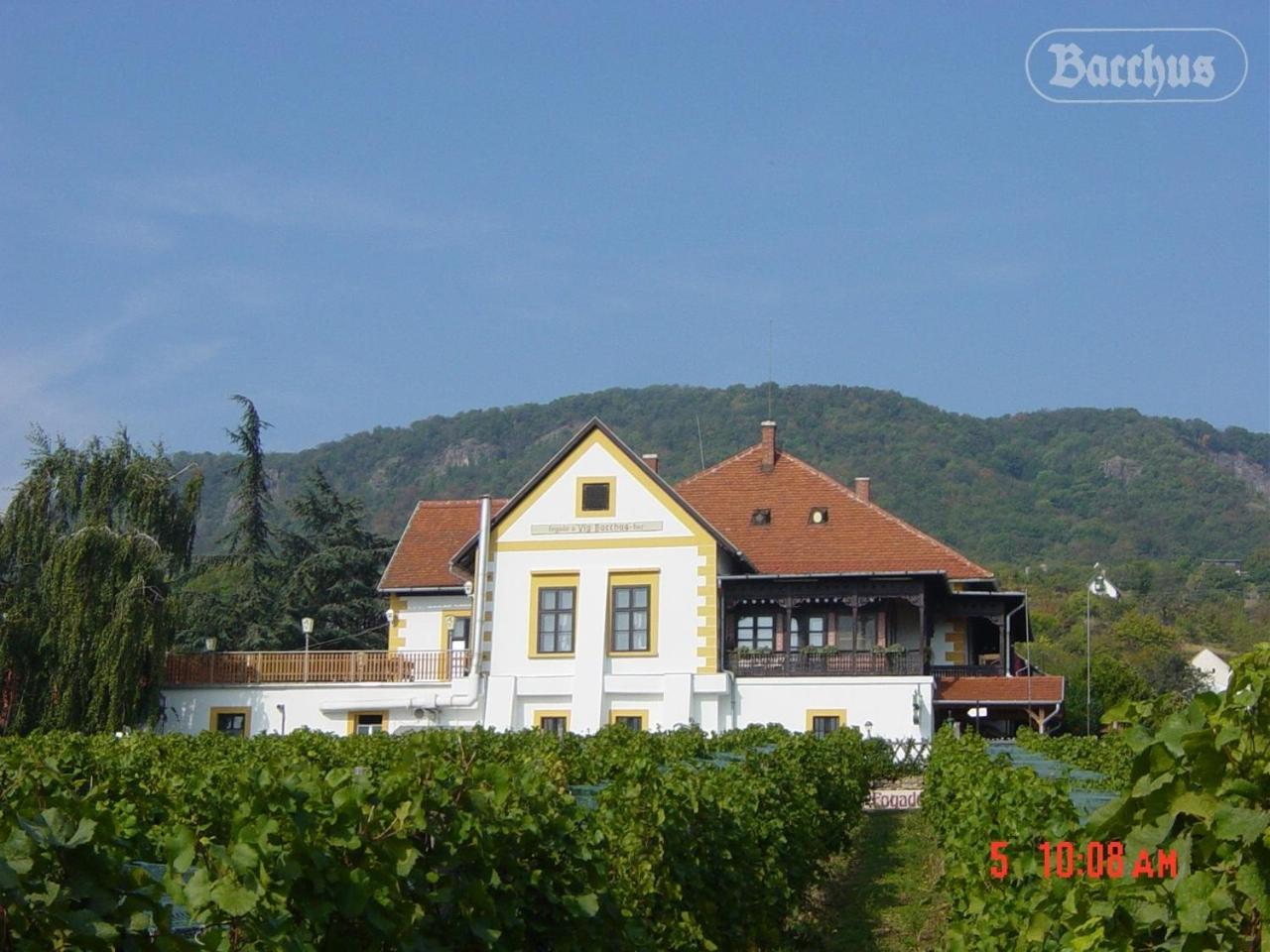 Photo 28