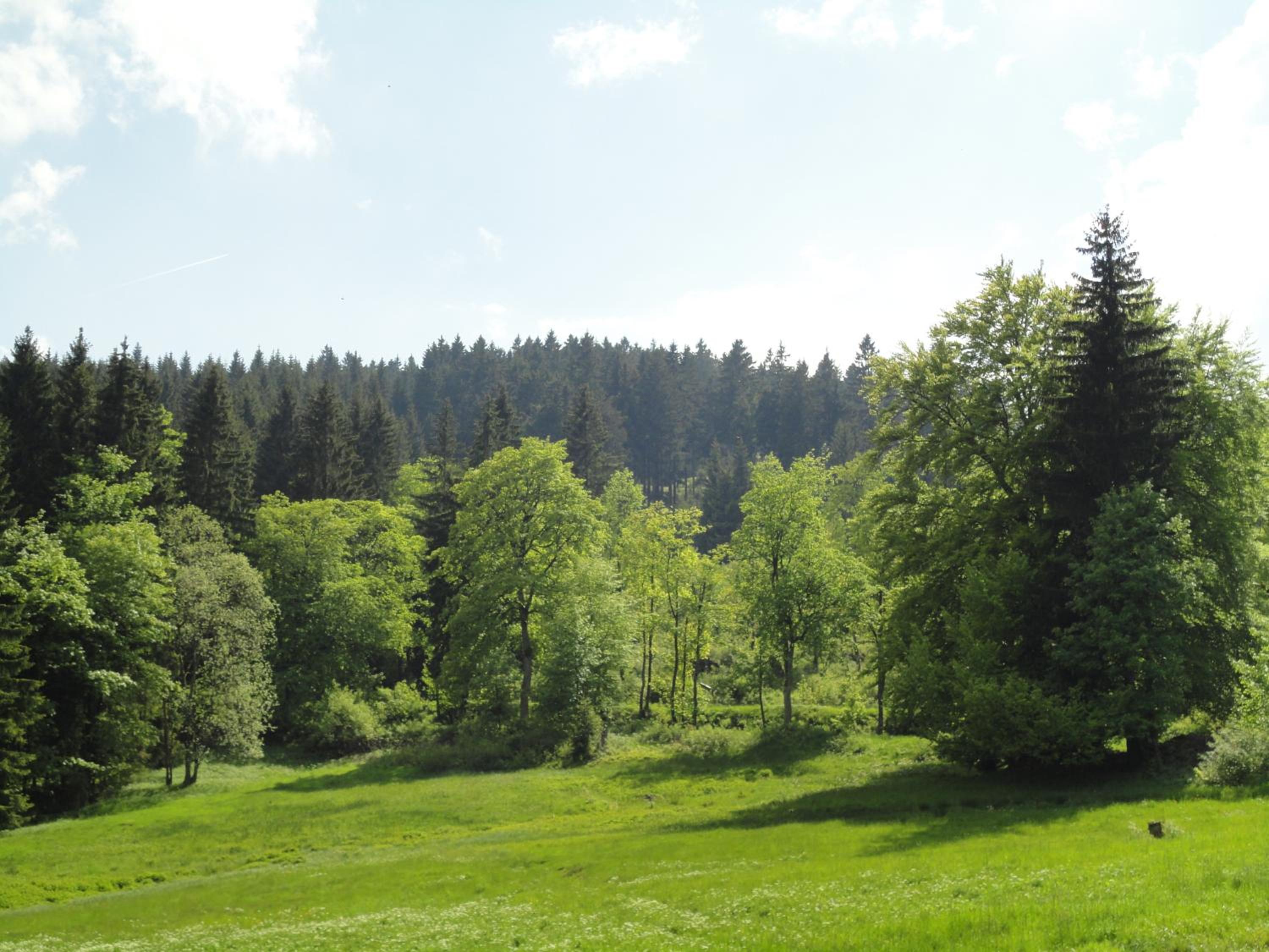 Obere Schweizerhütte