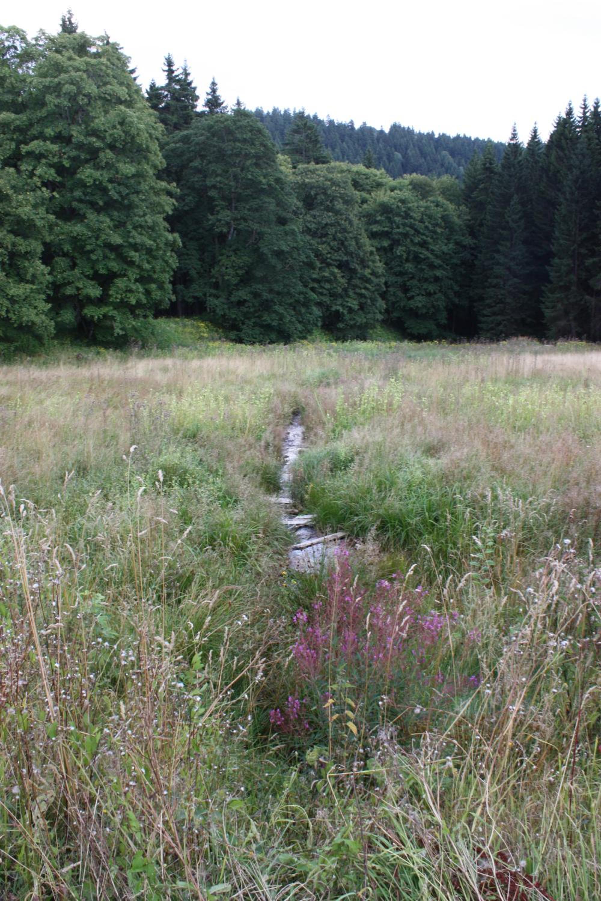 Obere Schweizerhütte