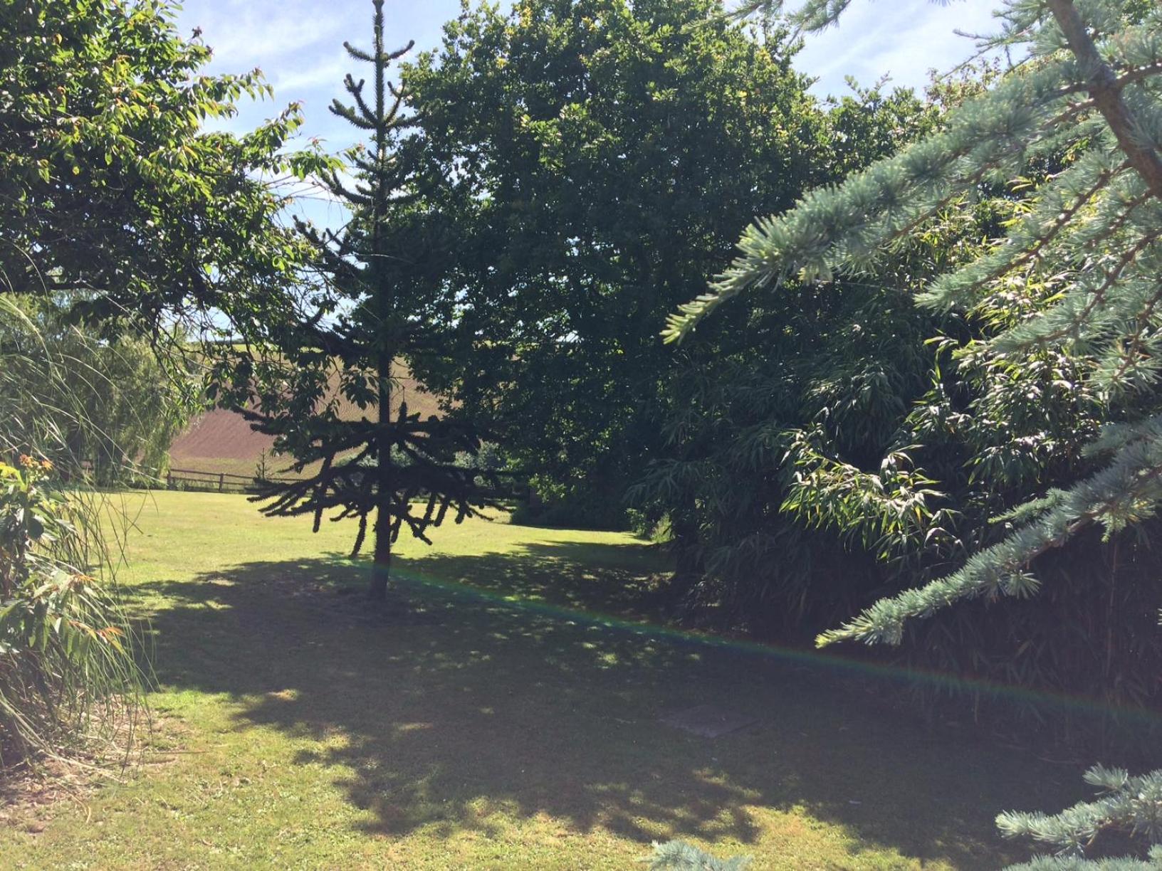 Photo 28