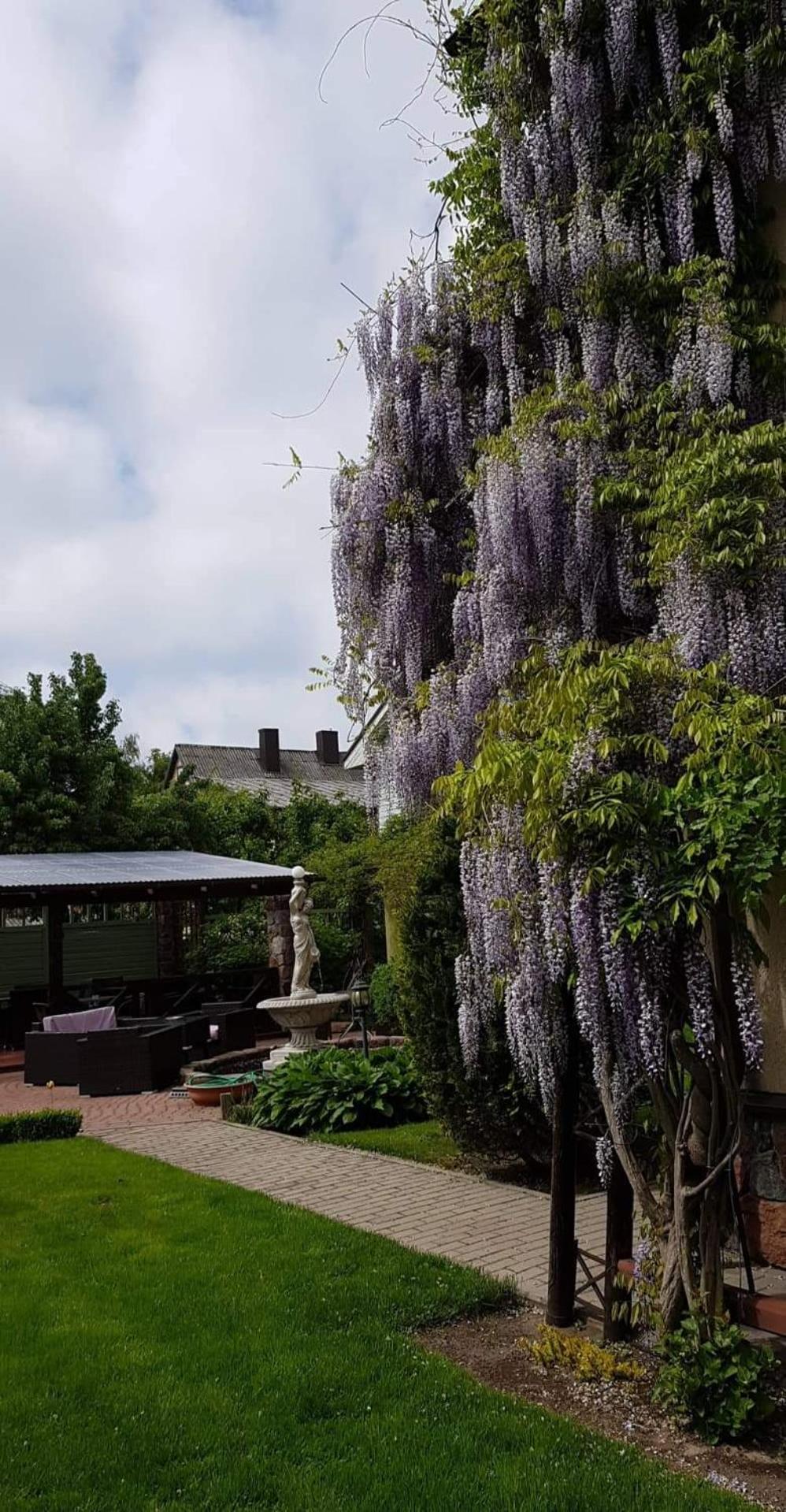 Vila Florena Garden