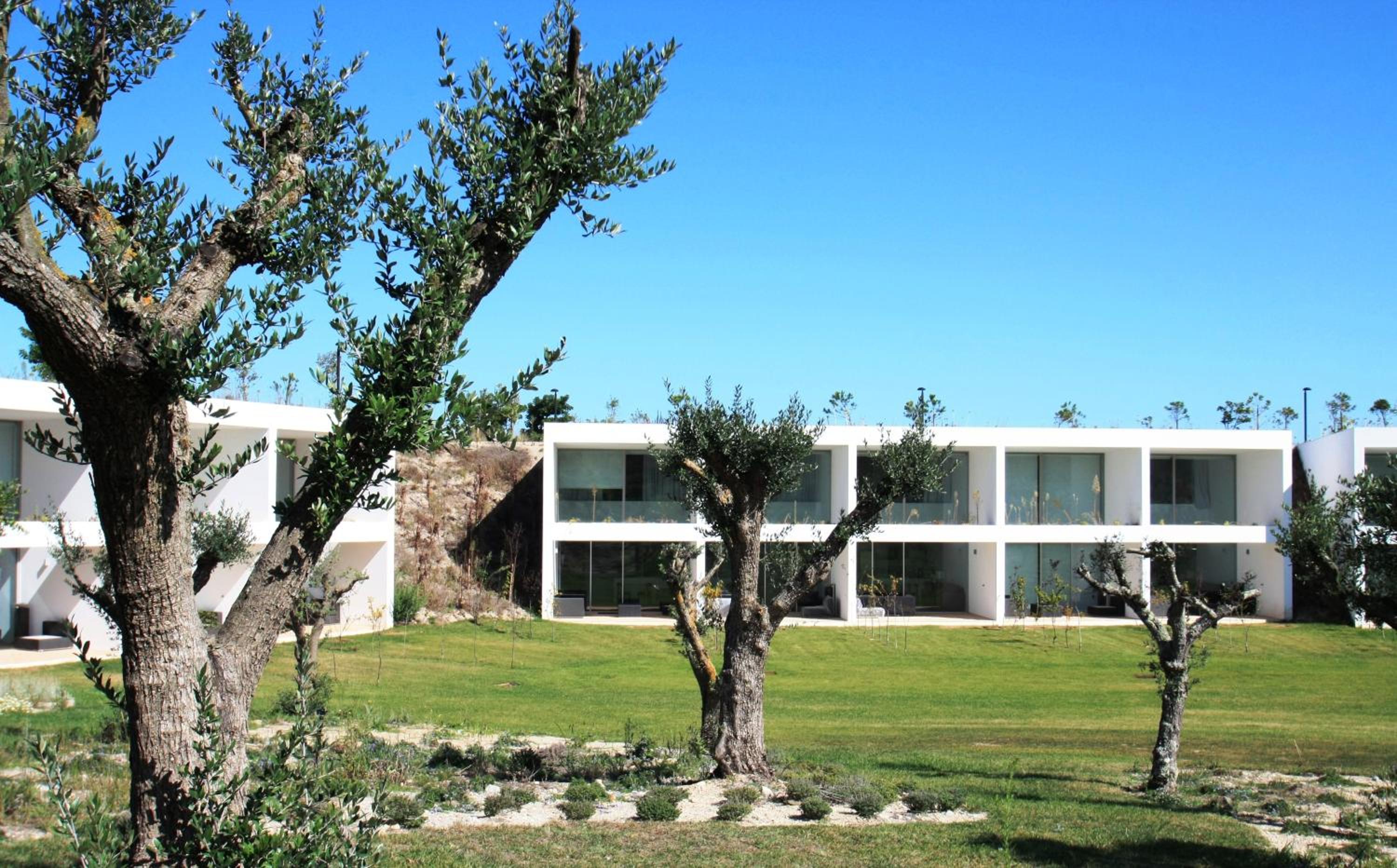 Photo 45