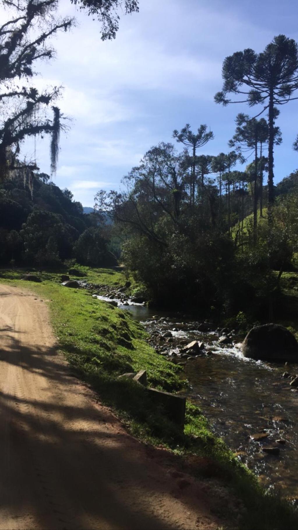 Caminhos da Serra do Tabuleiro - Chalé Araucária
