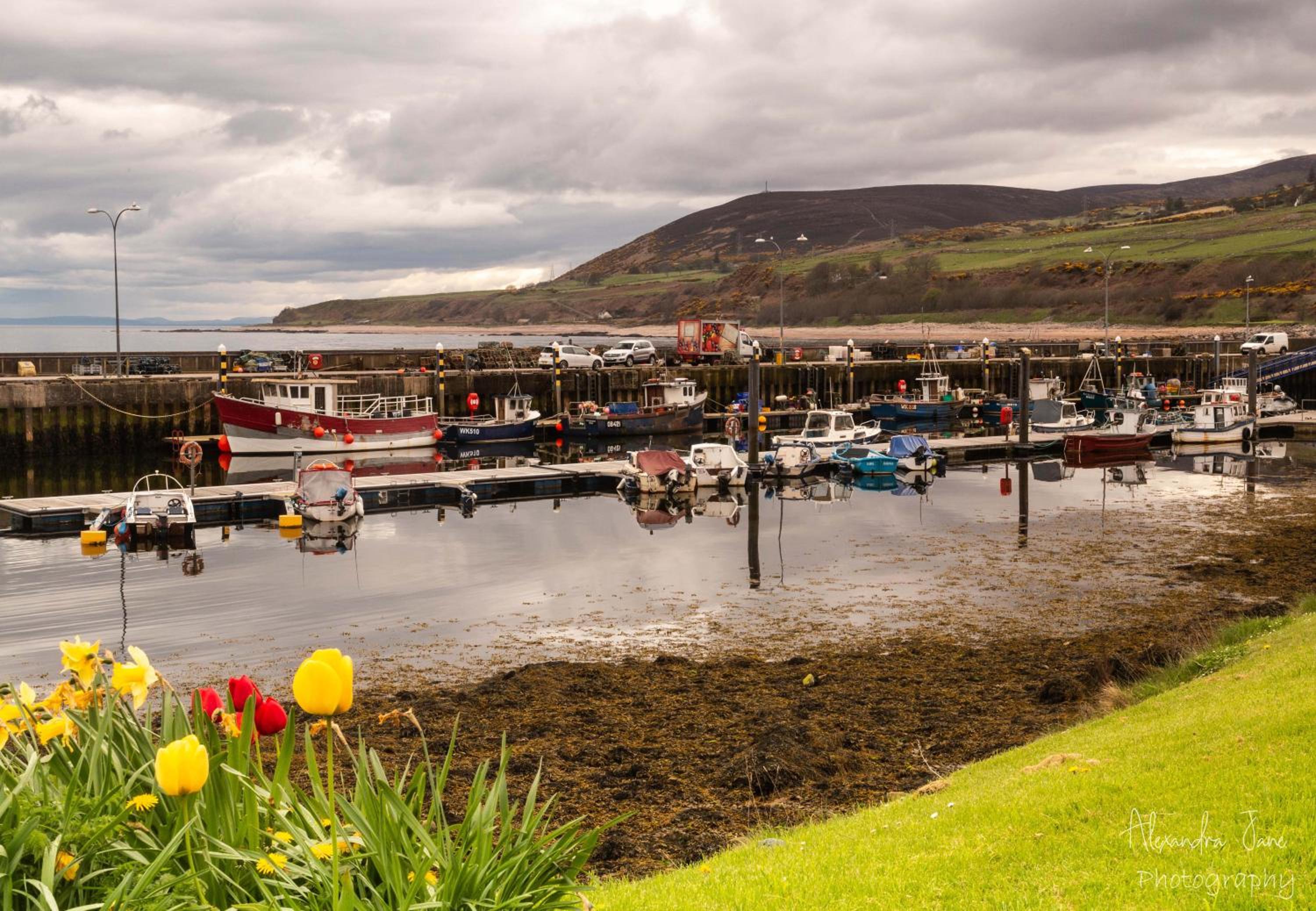 The Bridge Helmsdale view 4