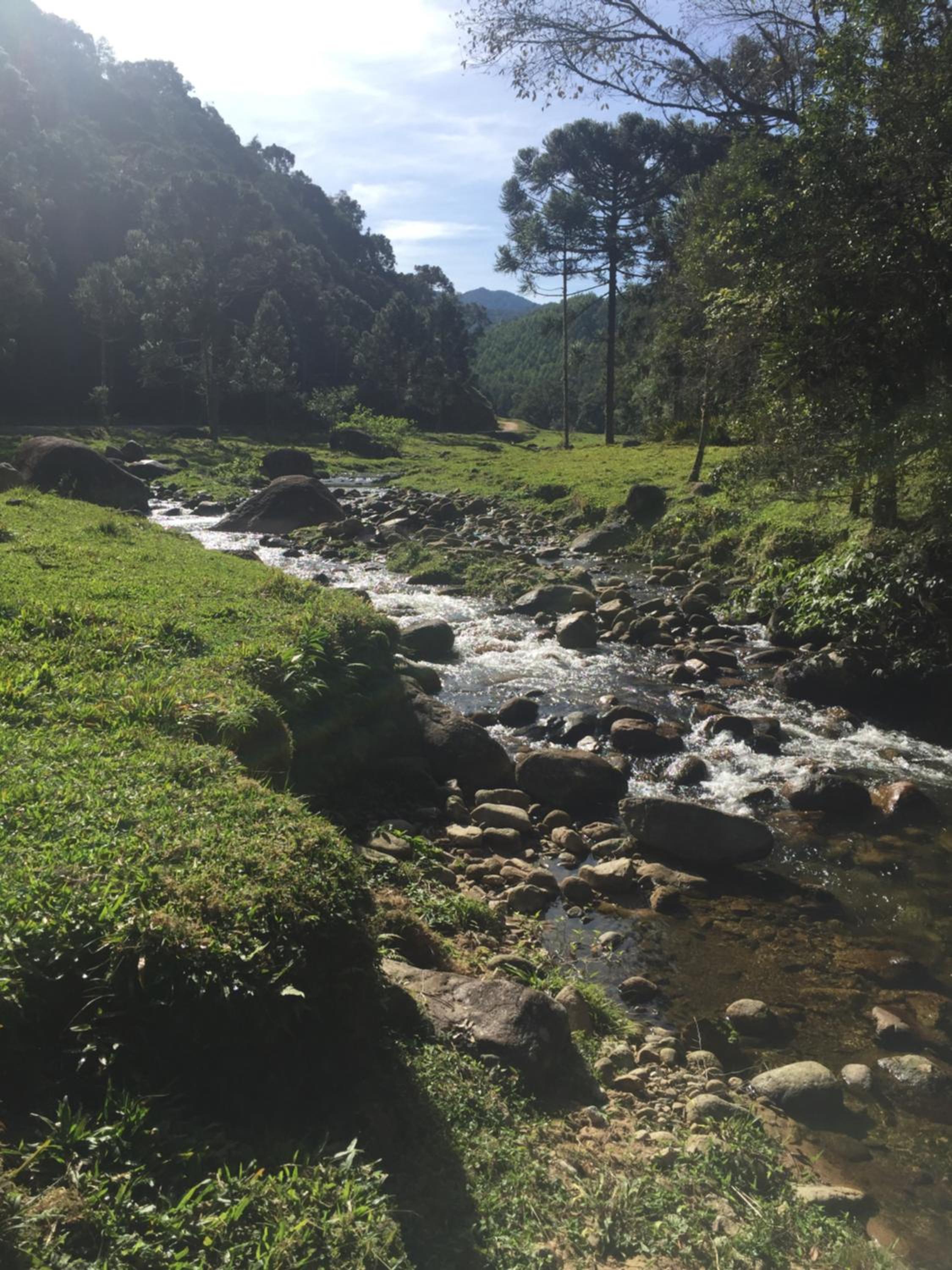 Caminhos da Serra do Tabuleiro - Chalé Araucária