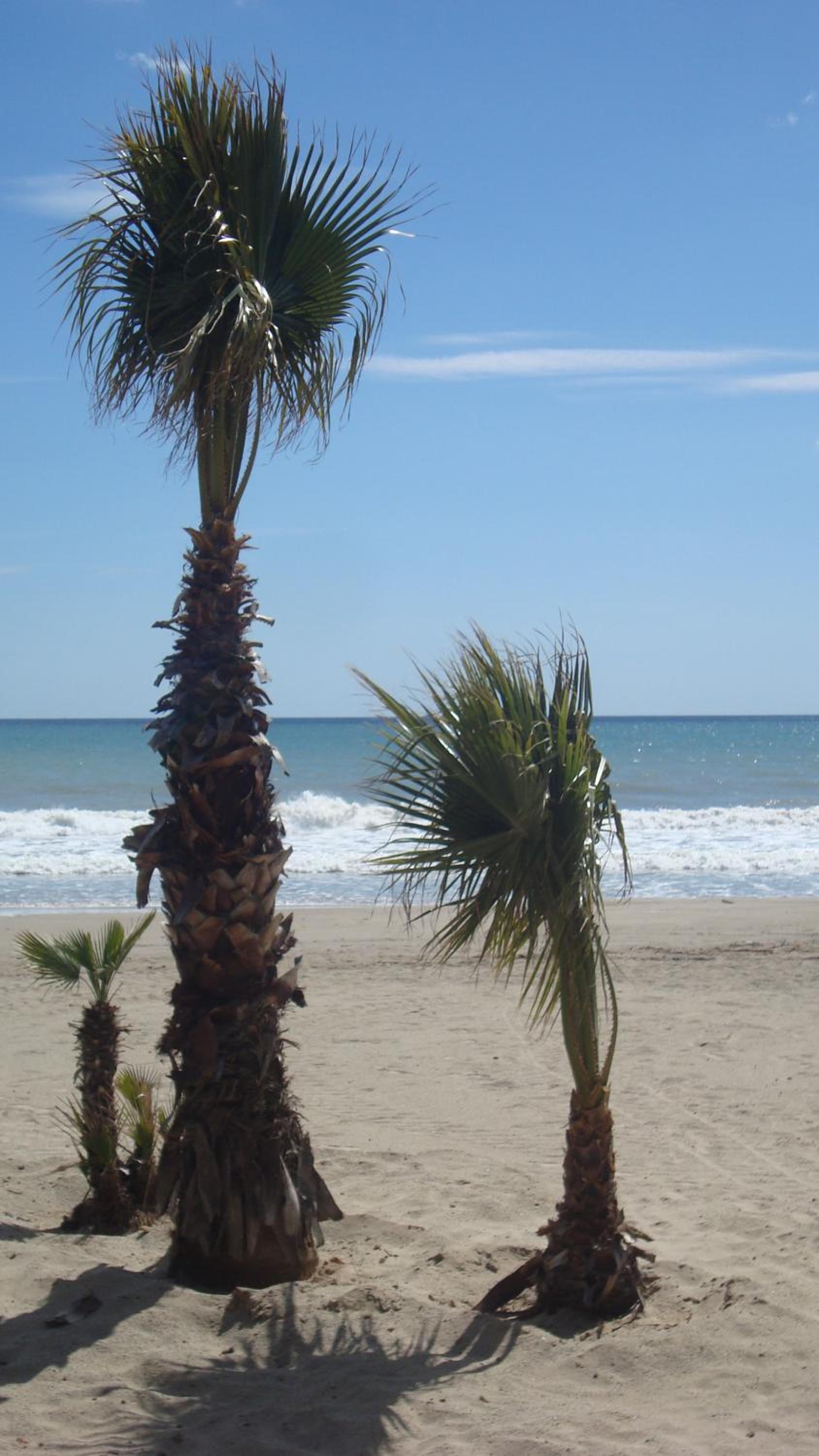 Appartement Salou LOCARMAR - Toni Brusseles photo 4