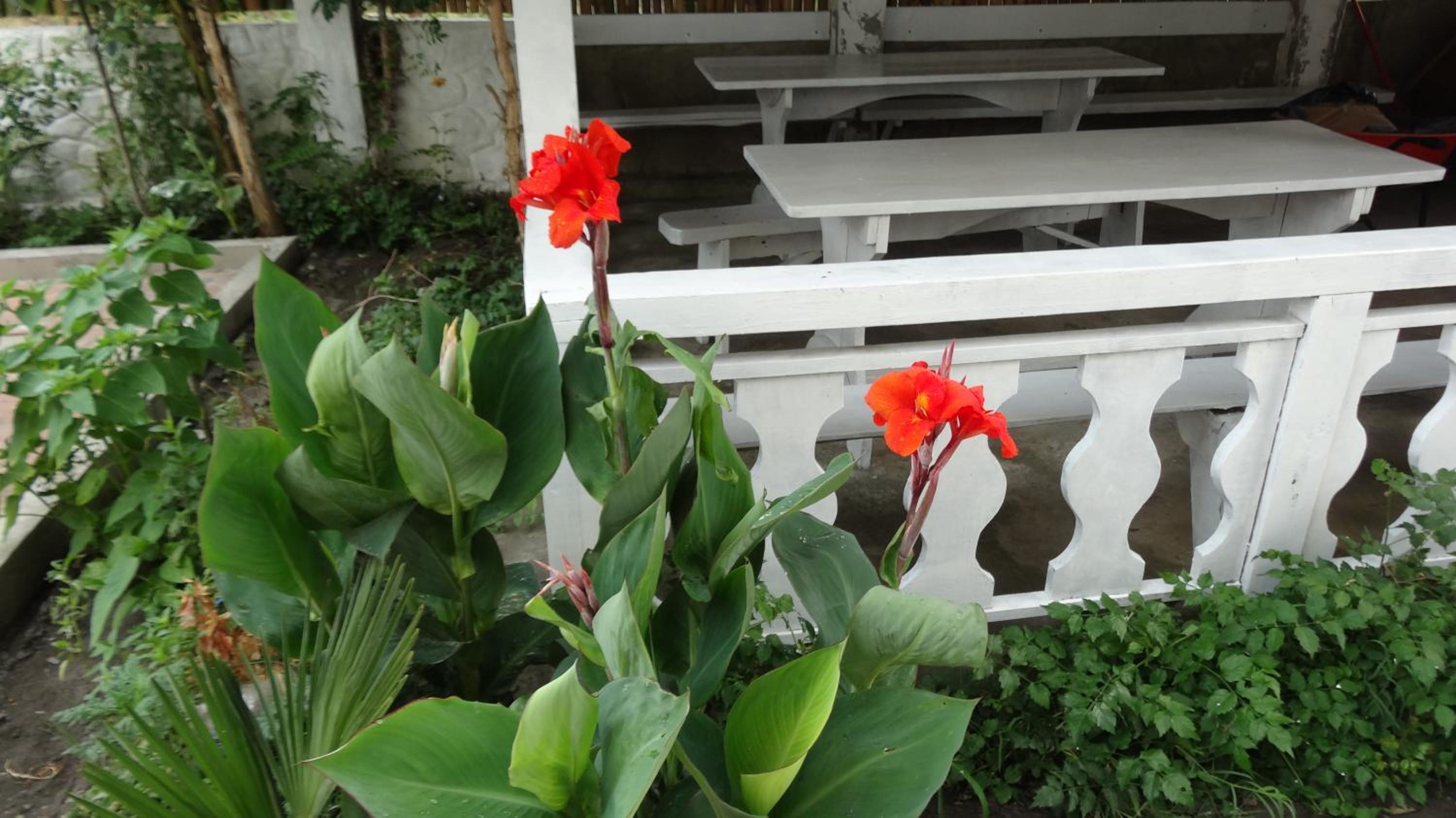 Photo 8