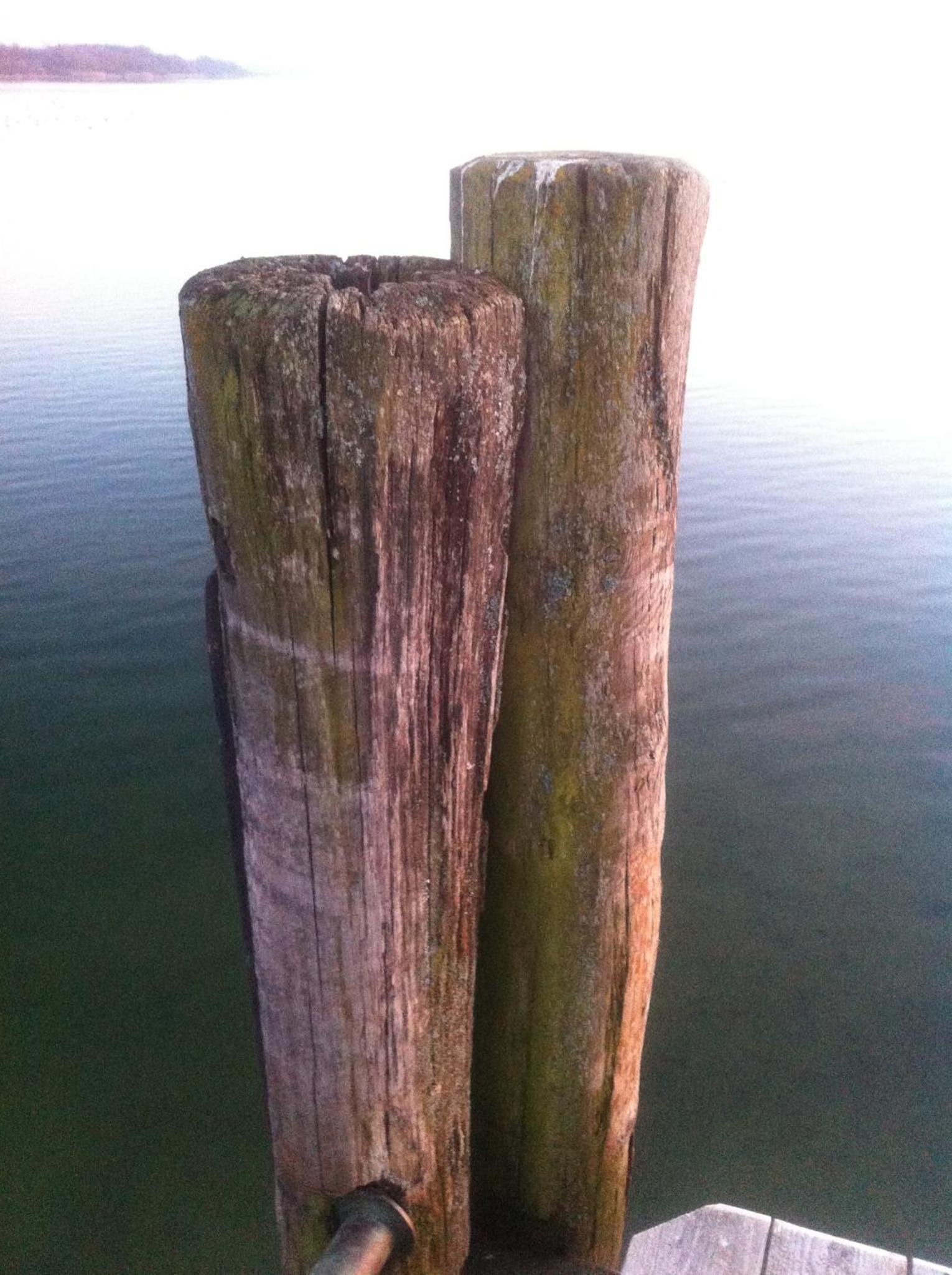 Photo 30