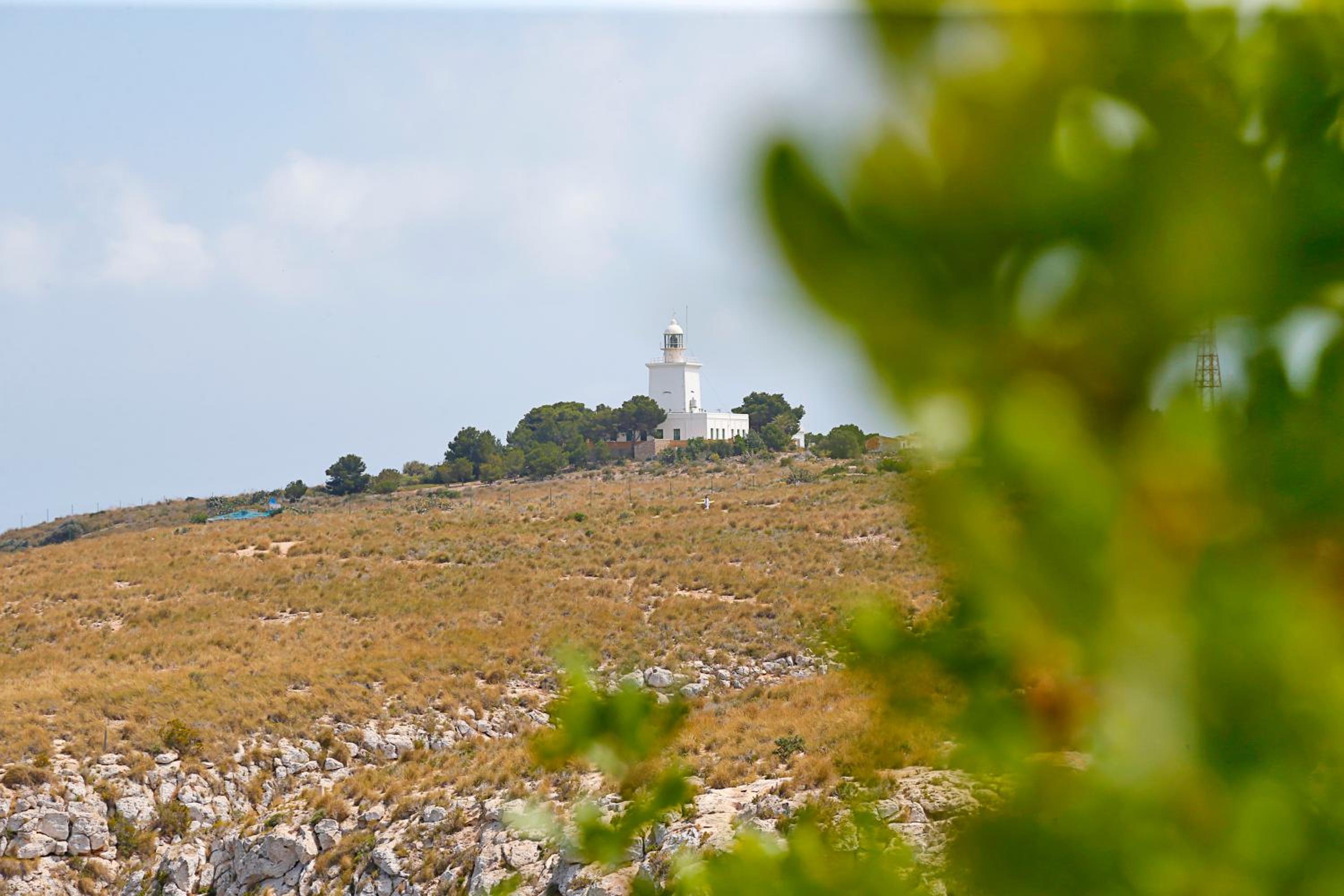 Lighthouse View II